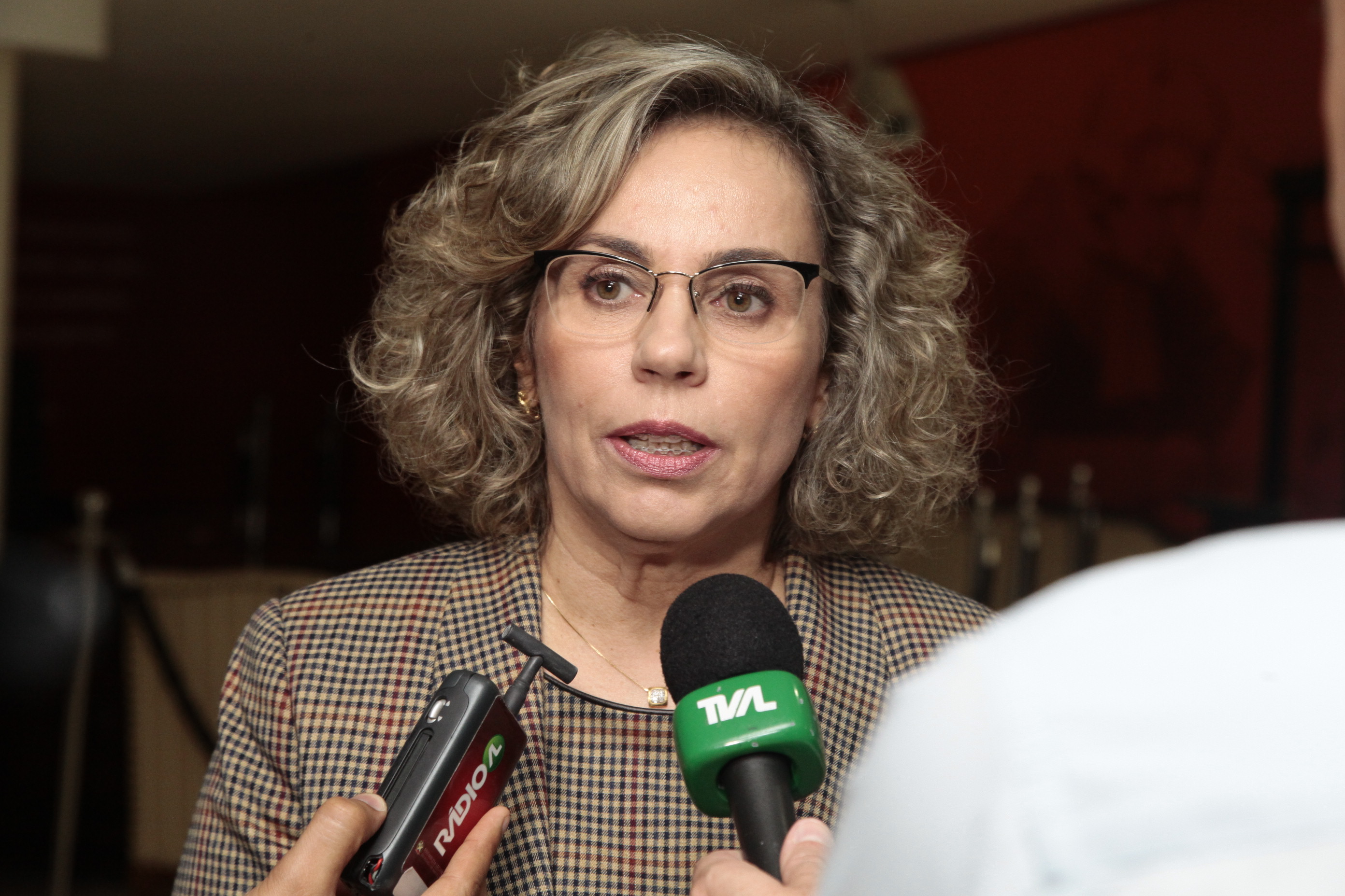 Campanha Justiça pela Paz em Casa. Deputada Ana Paula Lima (PT)  Foto: Miriam Zomer/Agência AL