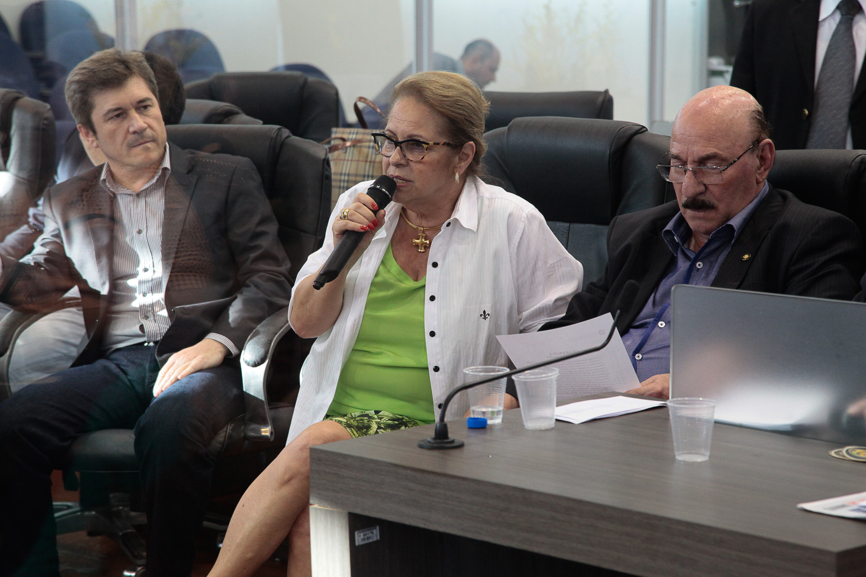 Audiência Pública Regional para o Plano Plurianual 2016-2019 e Lei Orçamentária Anual (LOA) 2016, no município de Araranguá. Foto: Miriam Zomer/Agência AL