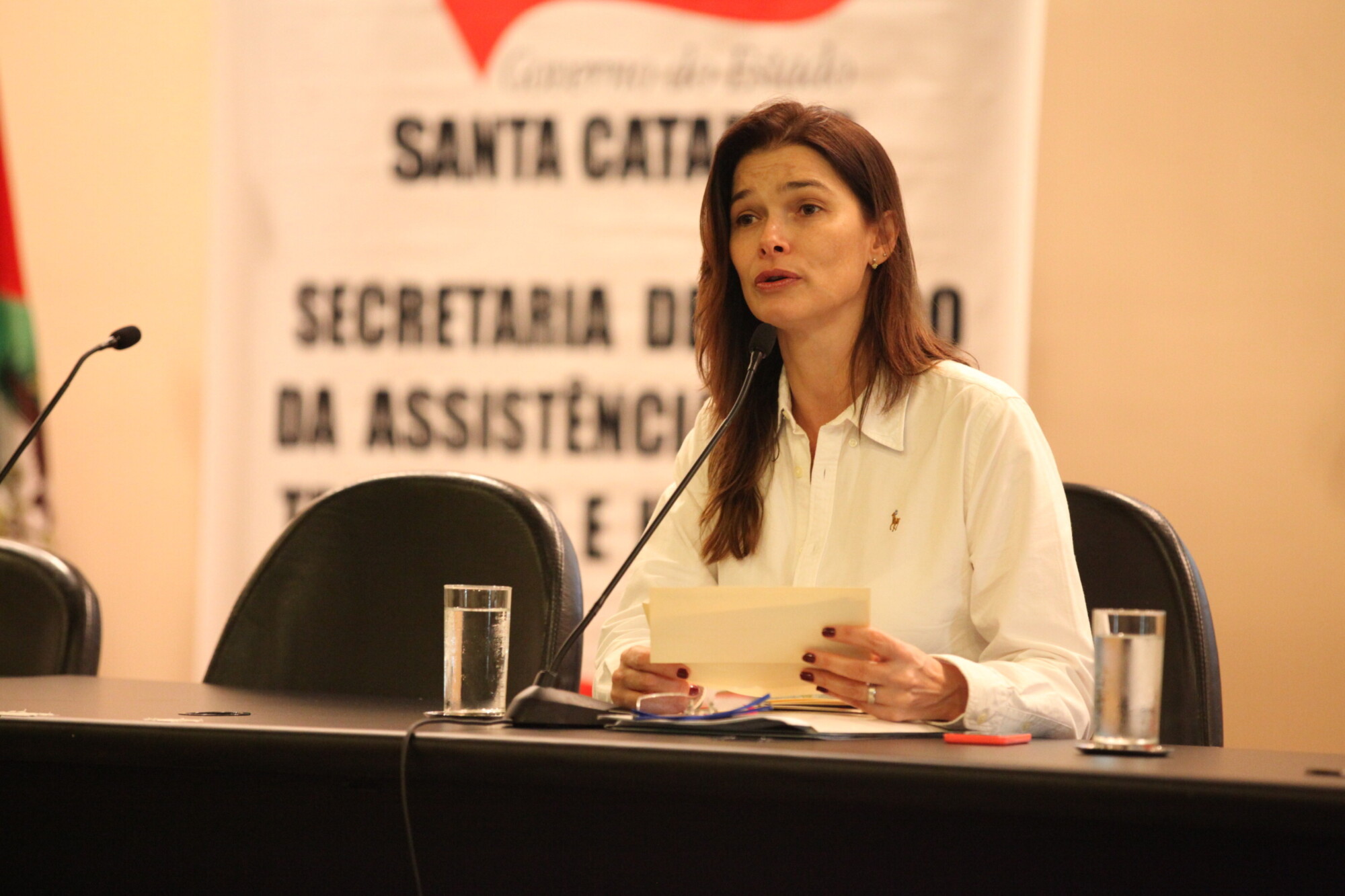 Angela Albino, secretária de Estado da Assistência Social, Trabalho e Habitação