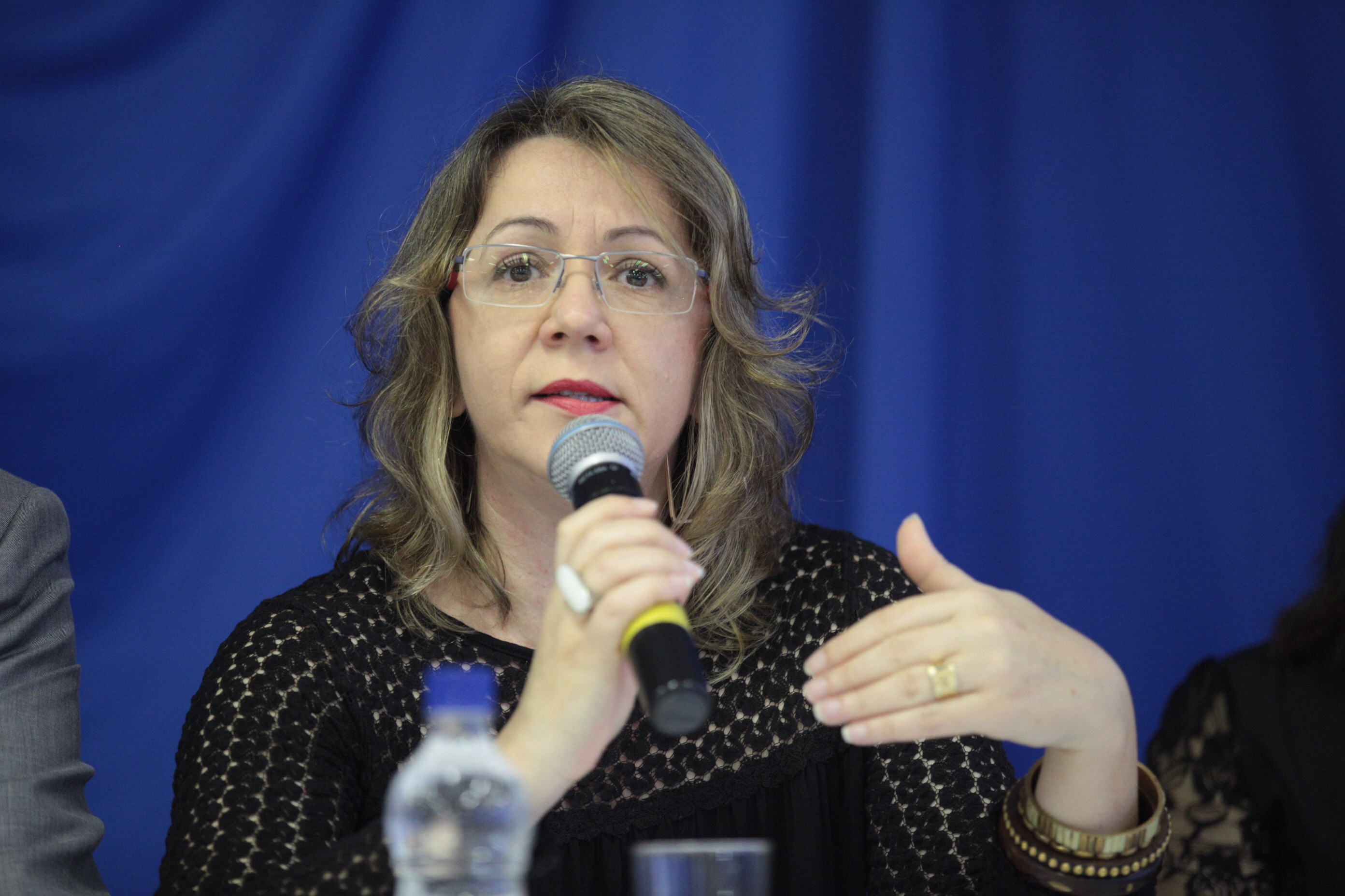 Audiência Pública em Canoinhas - Plano Estadual de Educação - Beatriz Clair de Andrade