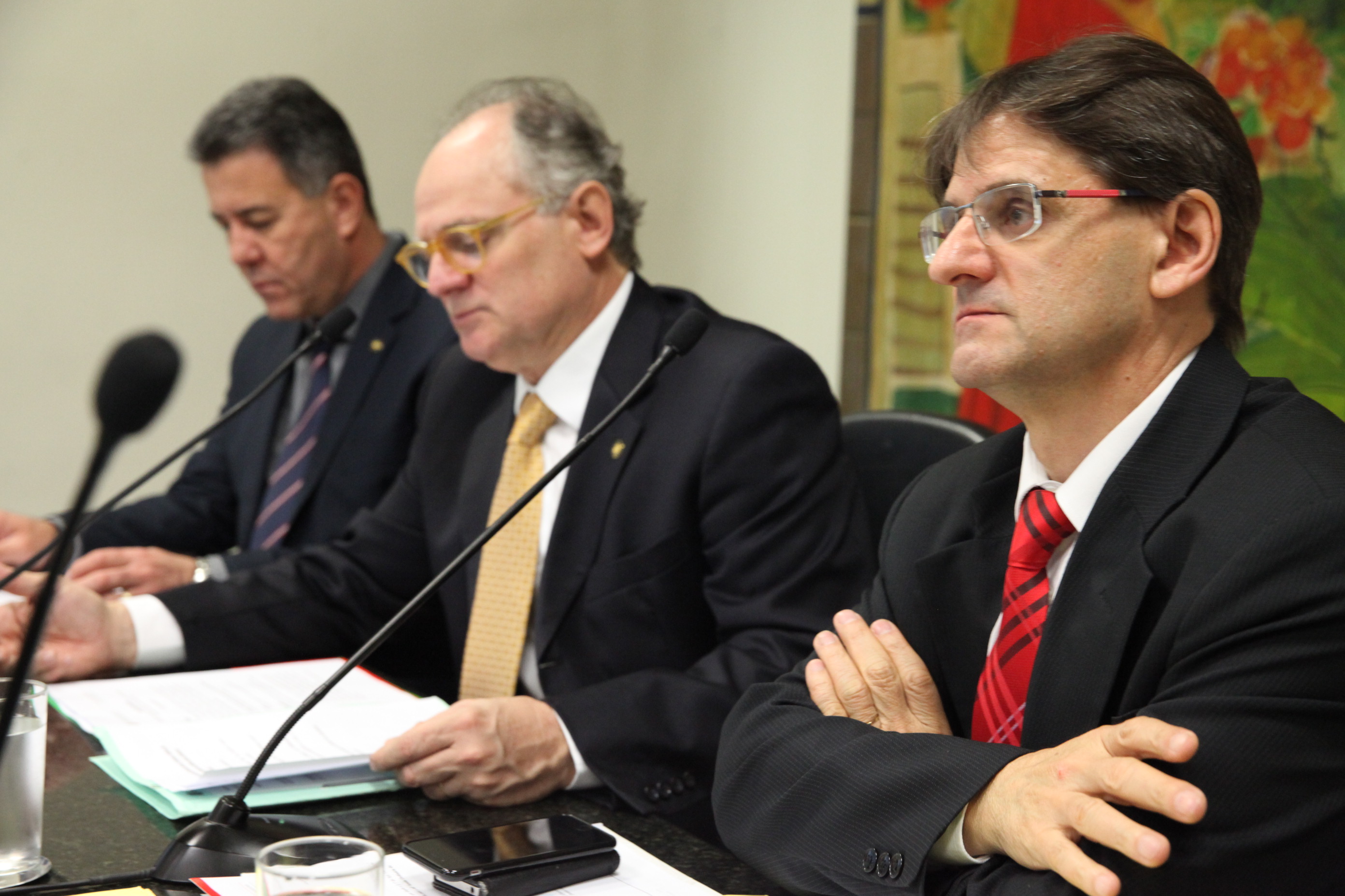 Reunião da Comissão de Defesa dos Direitos da Criança e do Adolescente. Foto: Fábio Queiroz / Agência AL