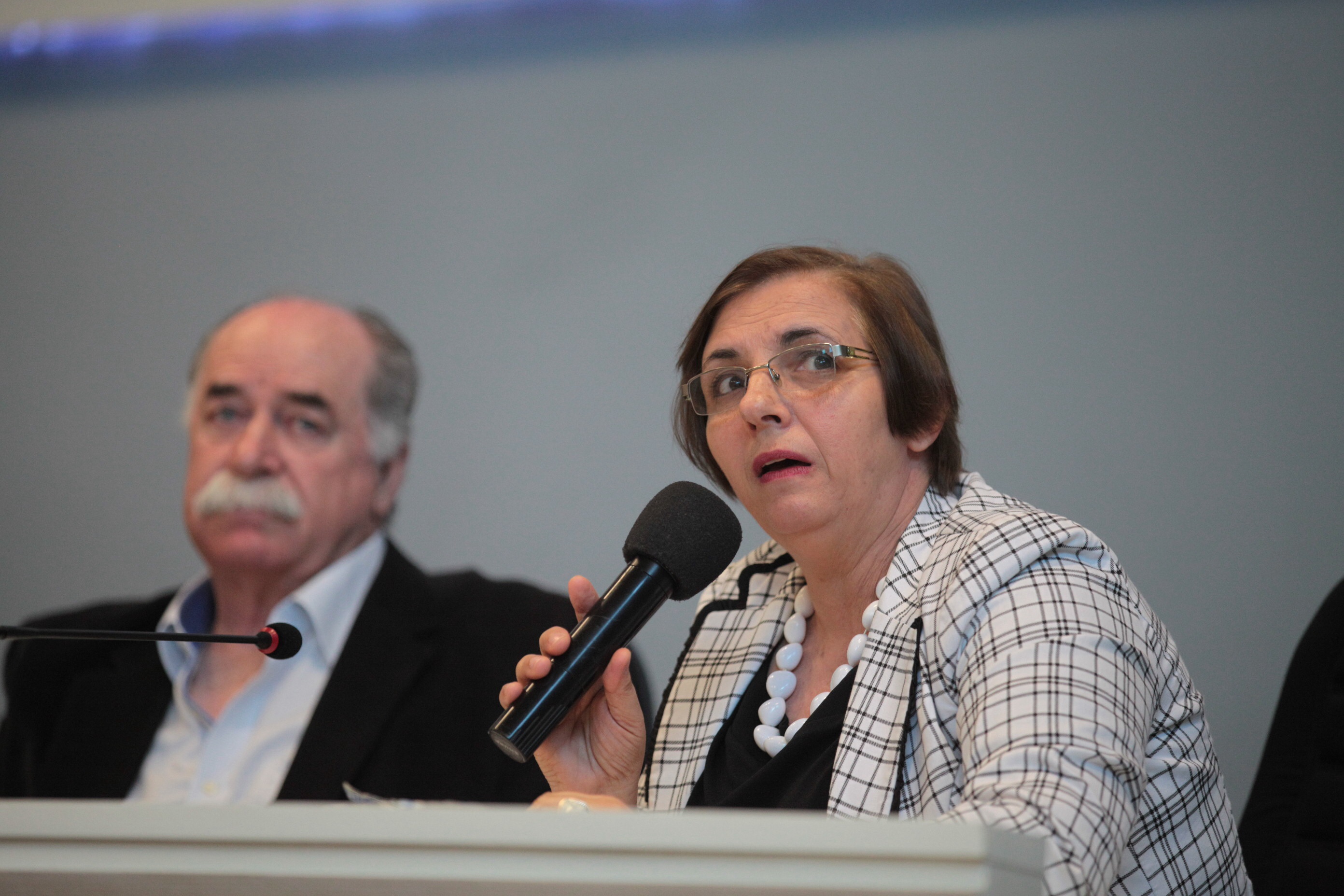 Audiência Pública - Plano Estadual de Educação - Deputado Romildo Titon e Edna Corrêa Batistotti