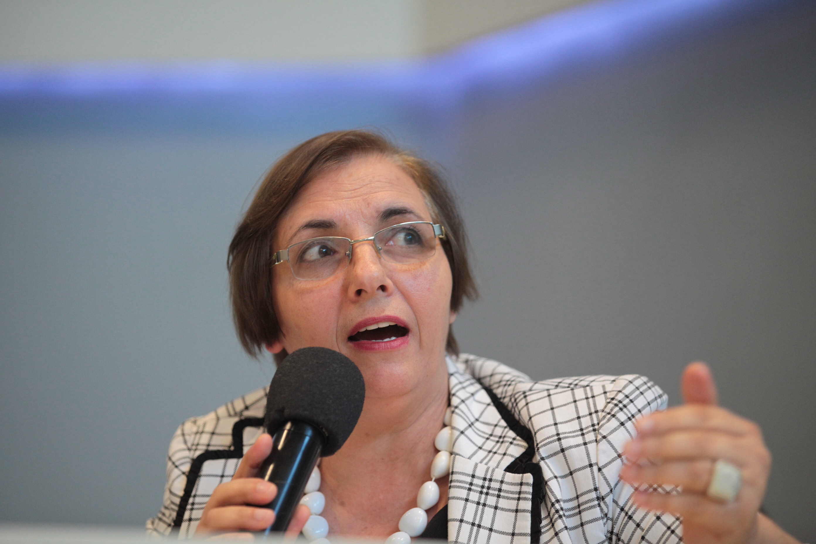 Audiência Pública - Plano Estadual de Educação - Edna Corrêa Batistotti