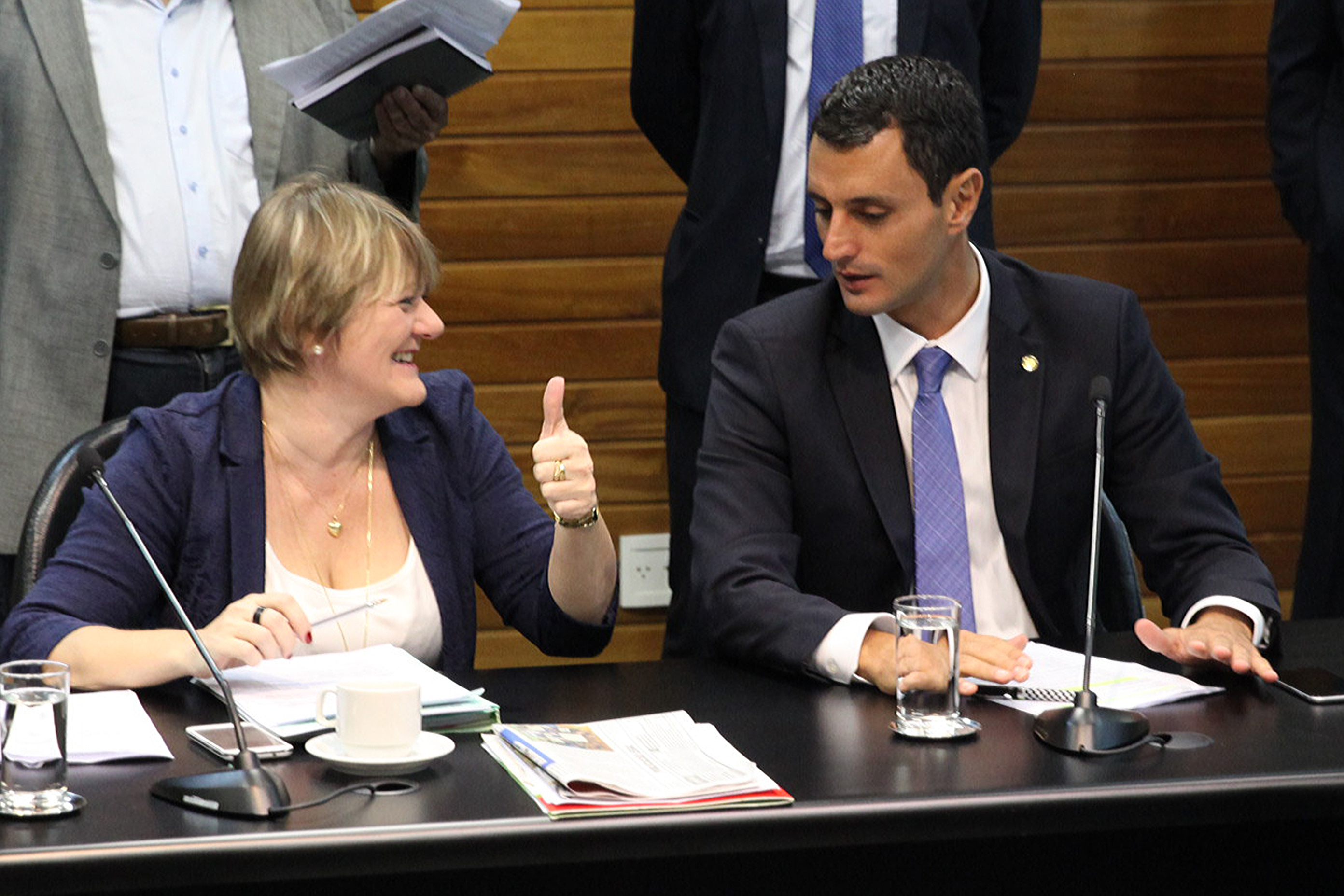 Reunião da Comissão de Constituição e Justiça. Foto: Fábio Queiroz / Agência AL