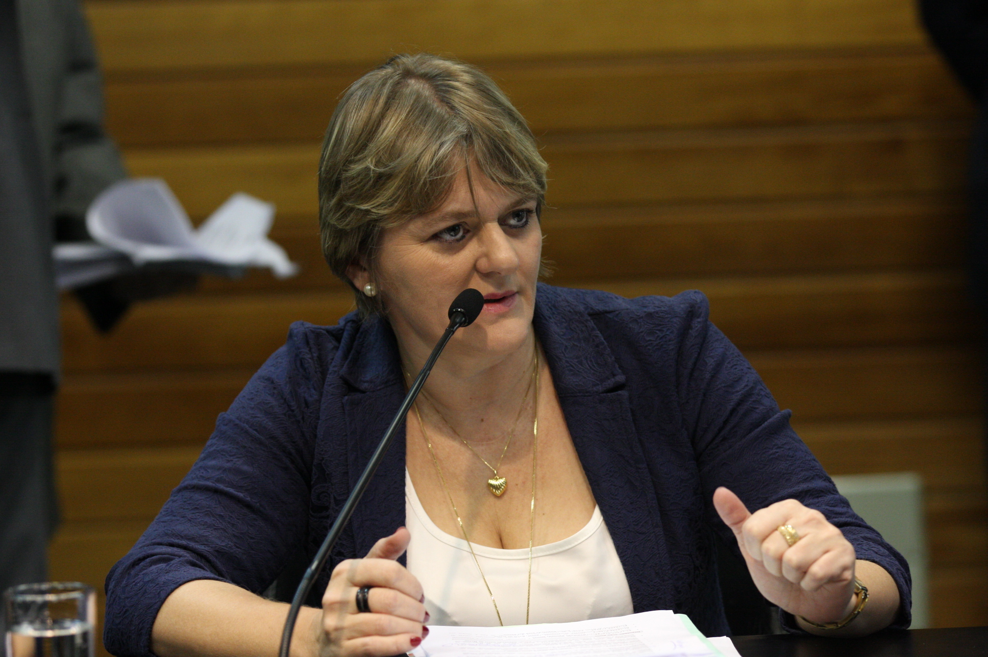 Comissão de Constituição e Justiça. Dep: Luciane Carminatti (PT). Foto: Yuri Santos / Agência AL