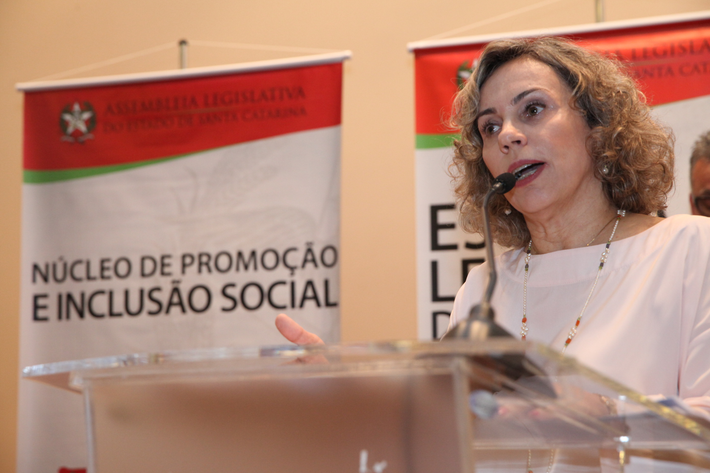 Seminário El Niño 2015. Deputada Ana Paula Lima (PT) . Foto: Fábio Queiroz / Agência AL