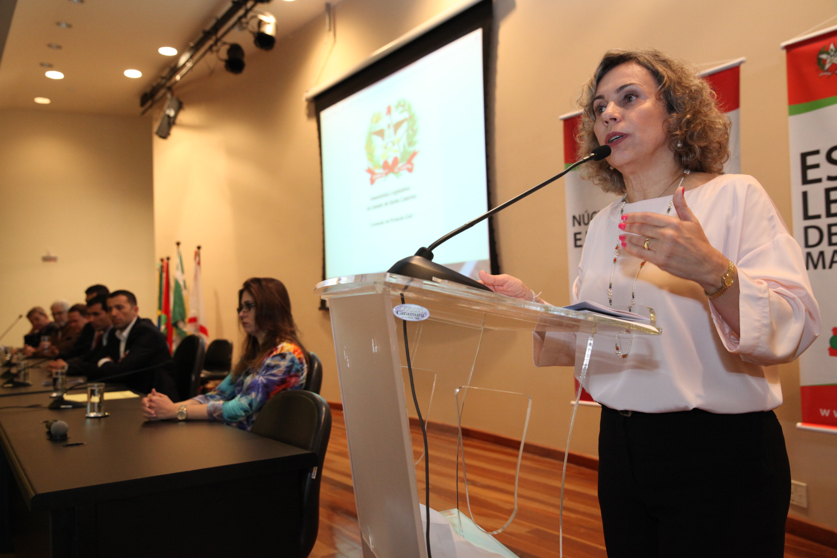 Seminário El Niño 2015. Deputada Ana Paula Lima (PT) . Foto: Fábio Queiroz / Agência AL