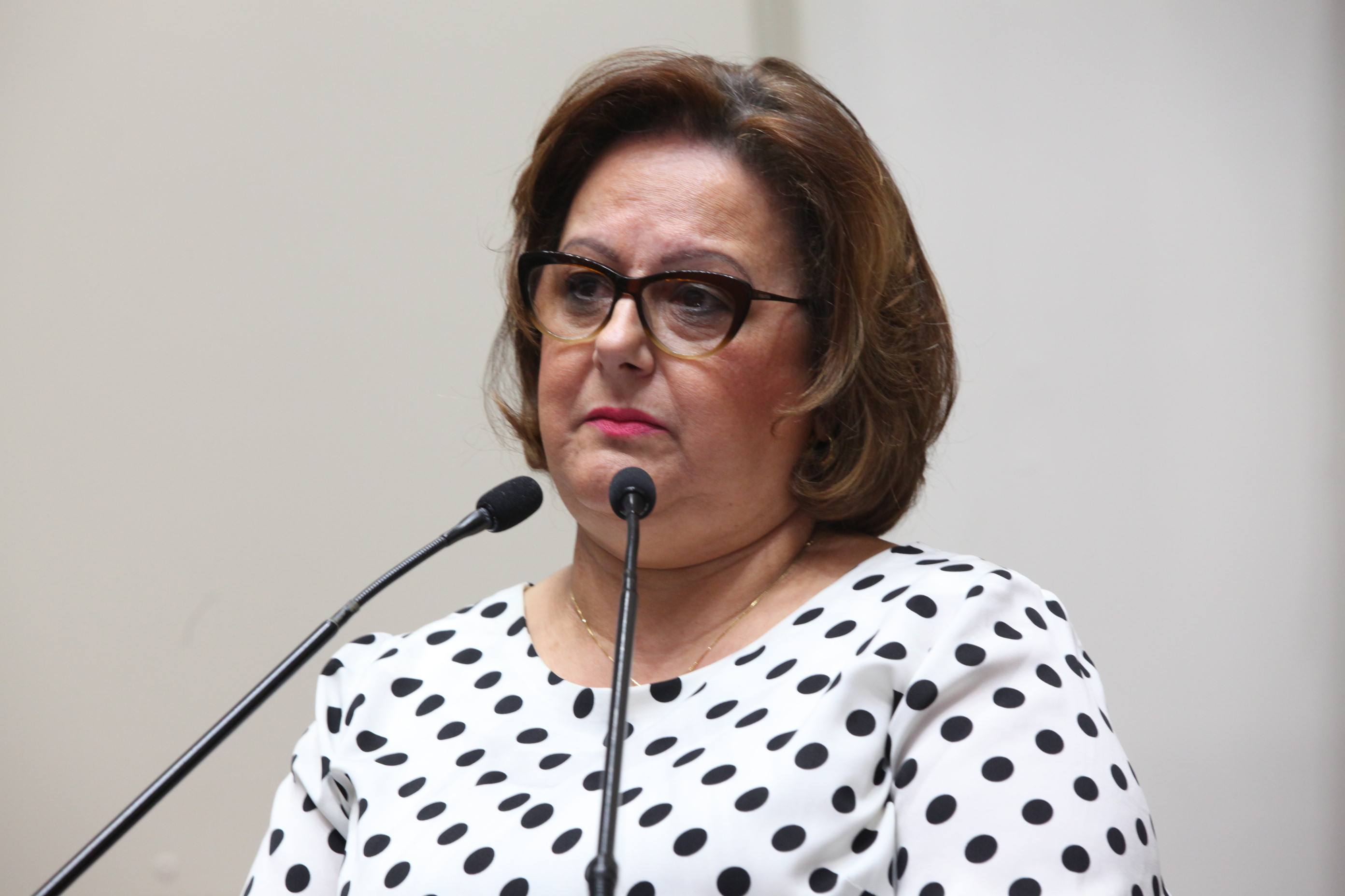 Sessão Ordinária. Deputada Dirce Heiderscheidt (PMDB) -  Foto:Eduardo Guedes de Oliveira / Agência AL