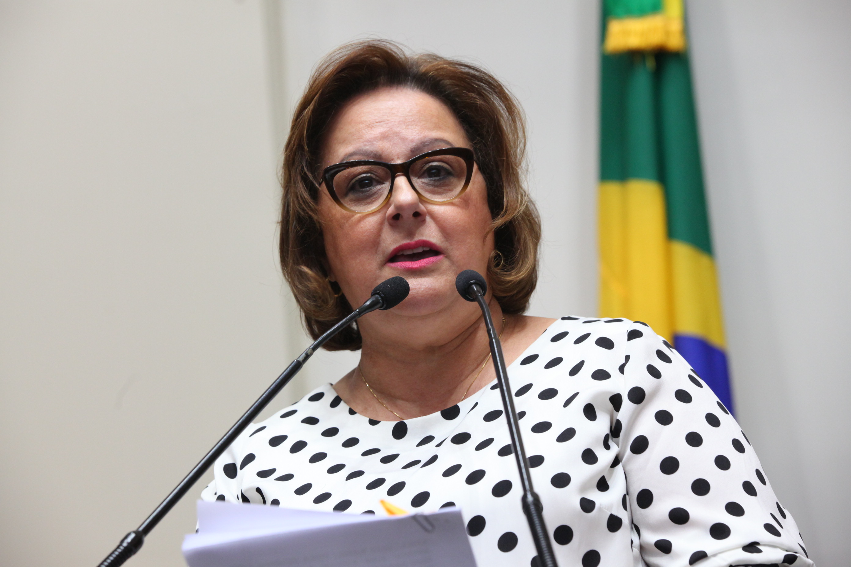 Sessão Ordinária. Deputada Dirce Heiderscheidt (PMDB) - Foto:Eduardo Guedes de Oliveira / Agência AL
