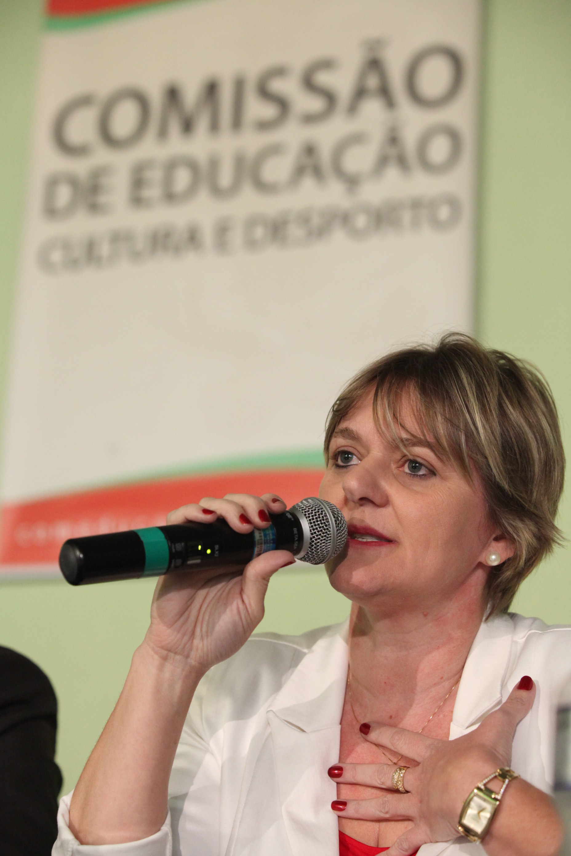 Comissão de Educação promove audiência pública em Criciúma. Foto:Fábio Queiroz / Agência AL