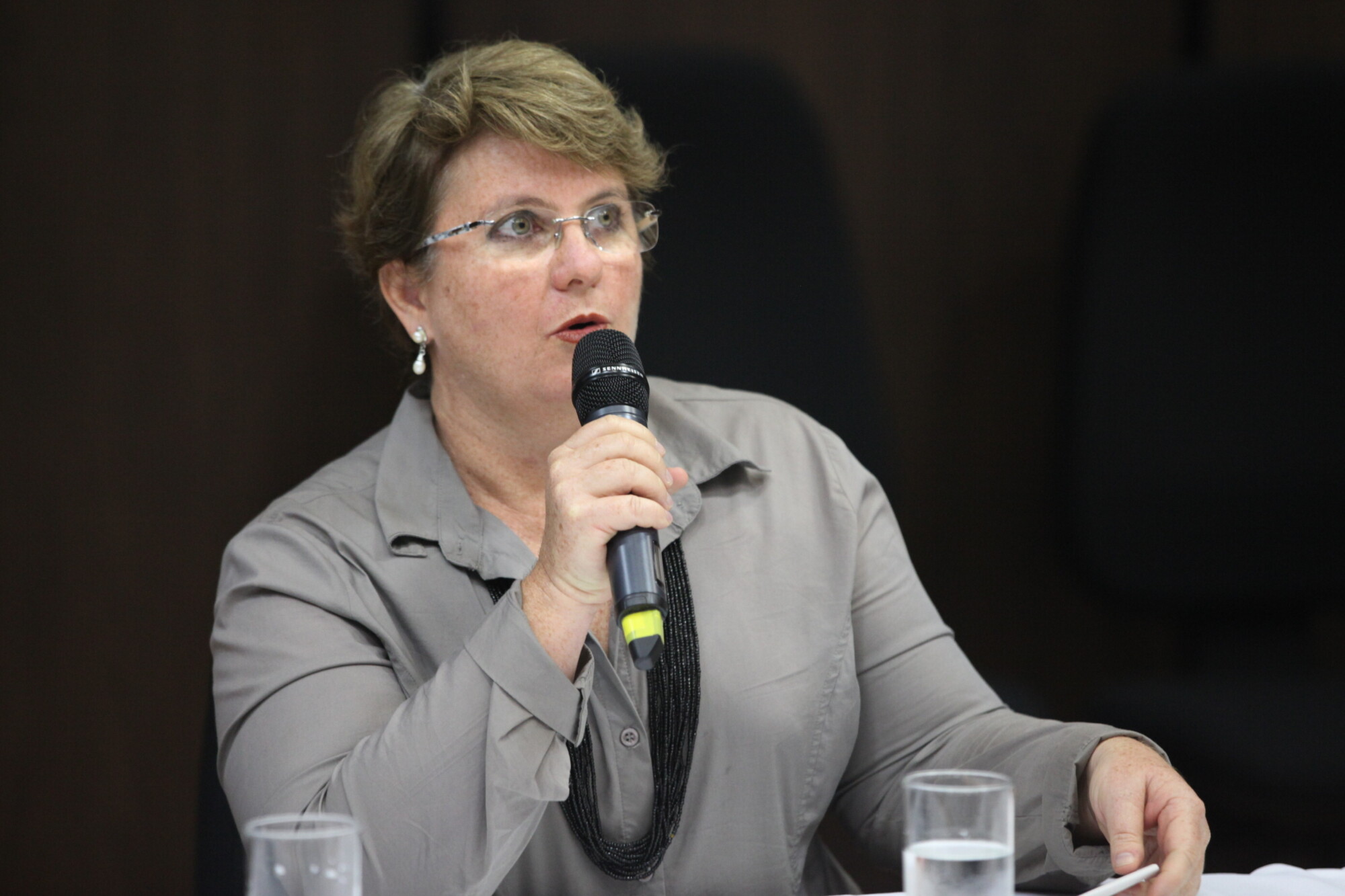 Professora Cristina Scheibe Wolff, da Universidade Federal de Santa Catarina (UFSC)