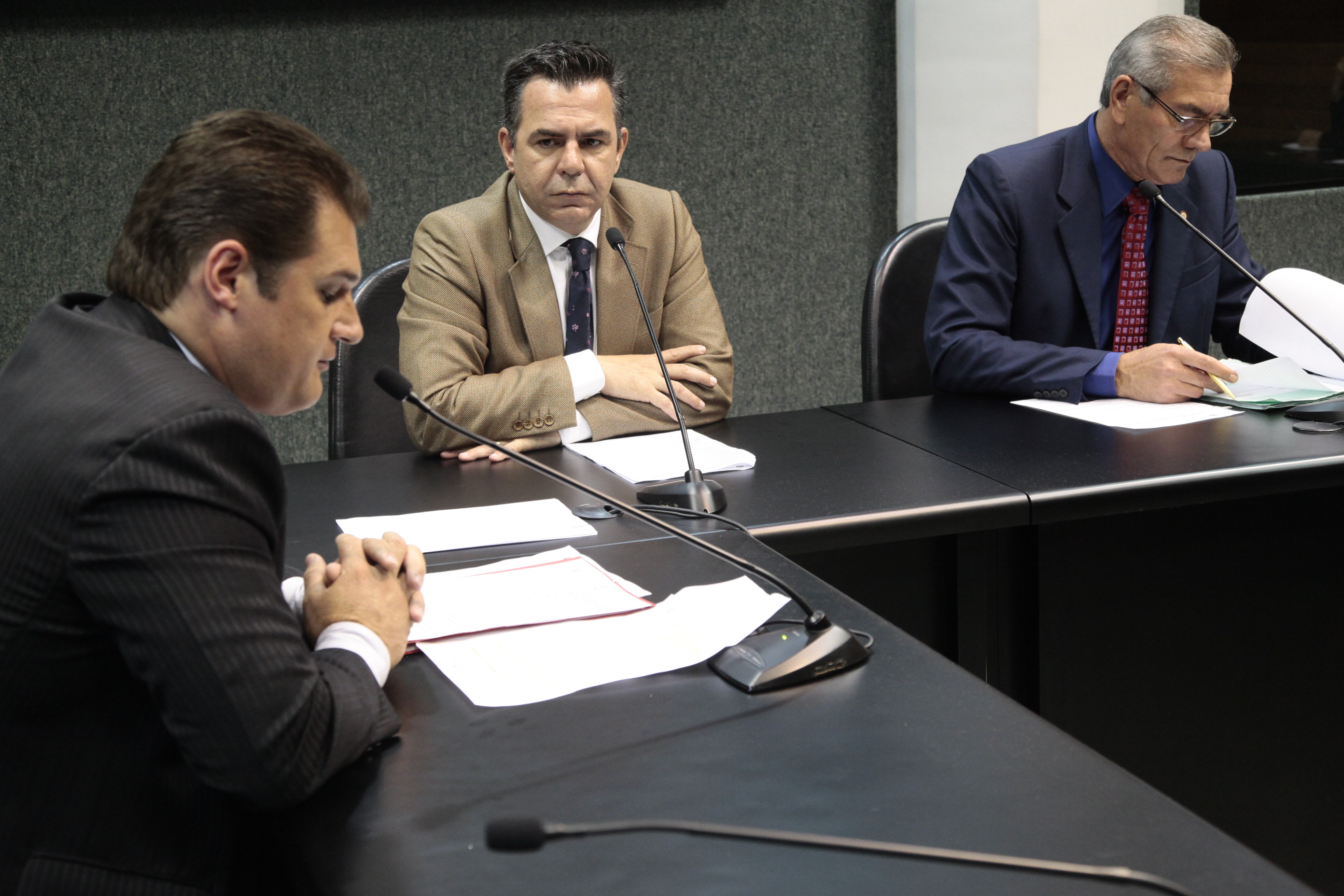 Reunião da Comissão de Economia, Ciência, Tecnologia, Minas e Energia. Foto: Miriam Zomer/Agência AL
