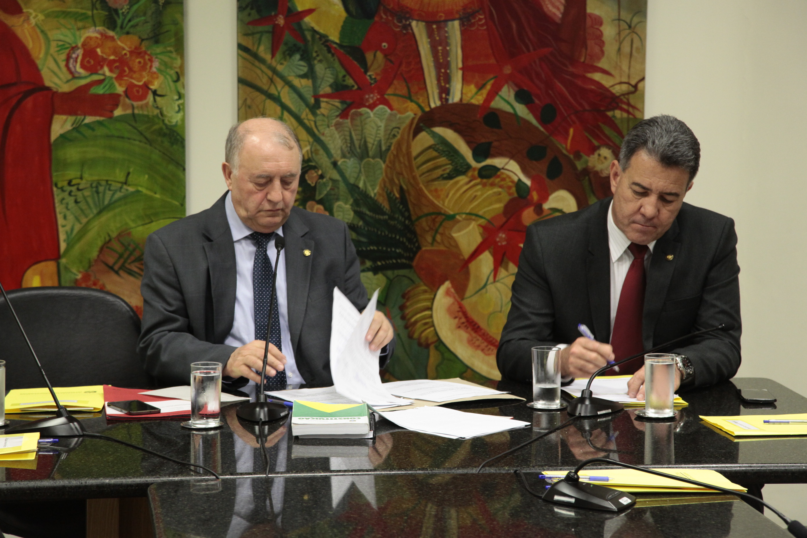 Reunião da Comissão de Agricultura e Política Rural. Foto: Miriam Zomer/Agência AL