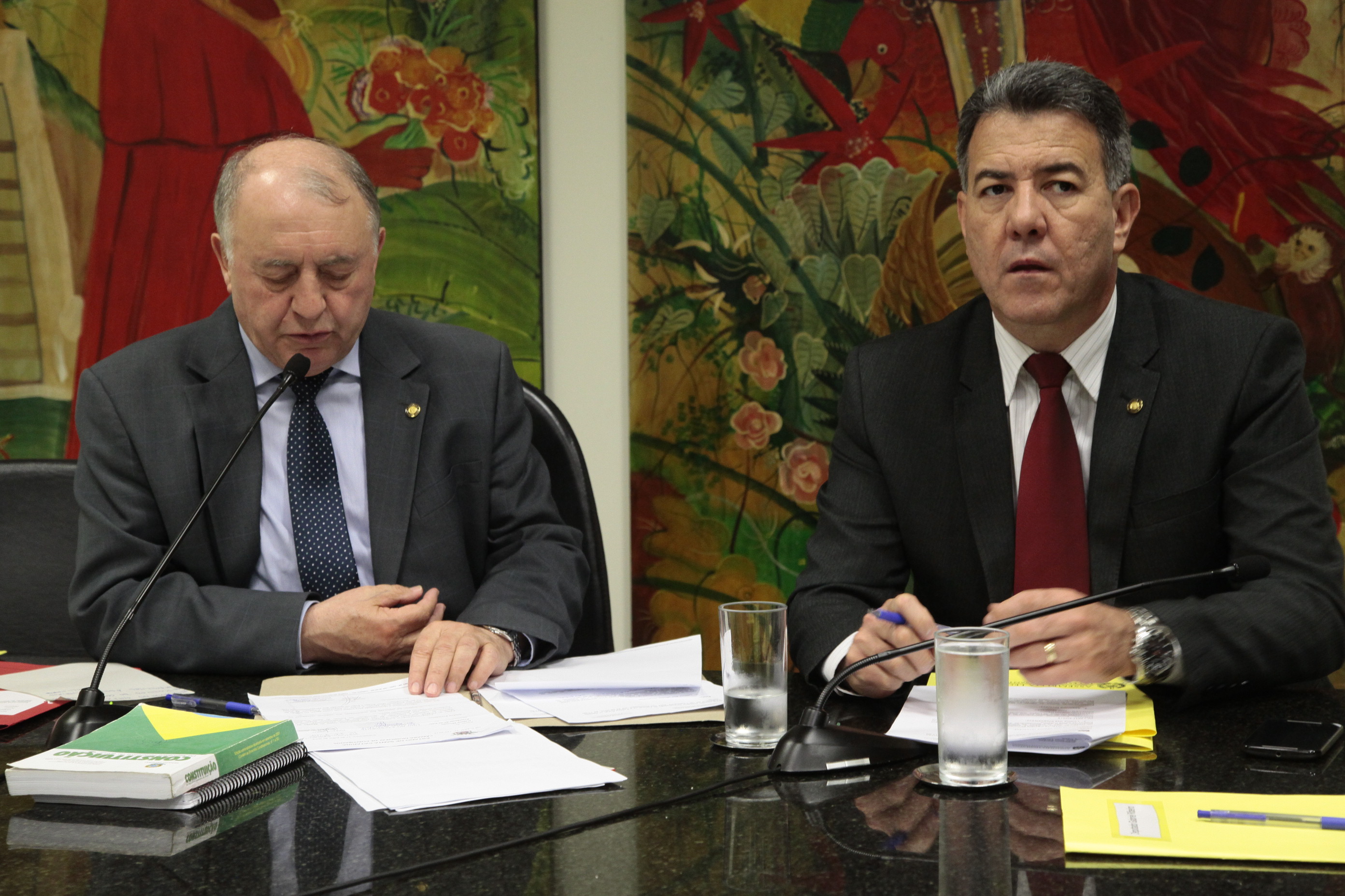 Reunião da Comissão de Agricultura e Política Rural. Foto: Miriam Zomer/Agência AL