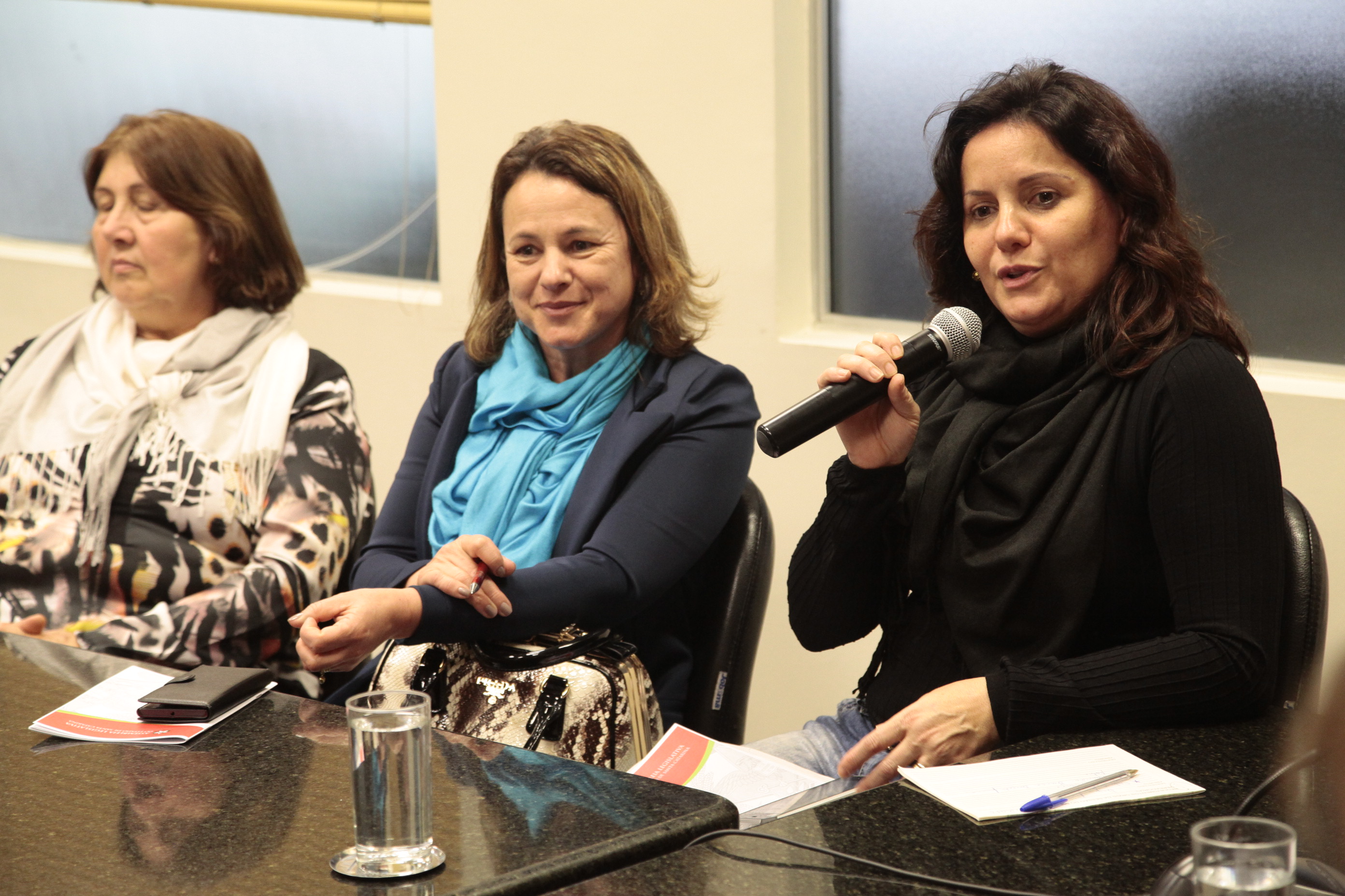 Reunião da Bancada Feminina. Foto: Miriam Zomer/Agência AL