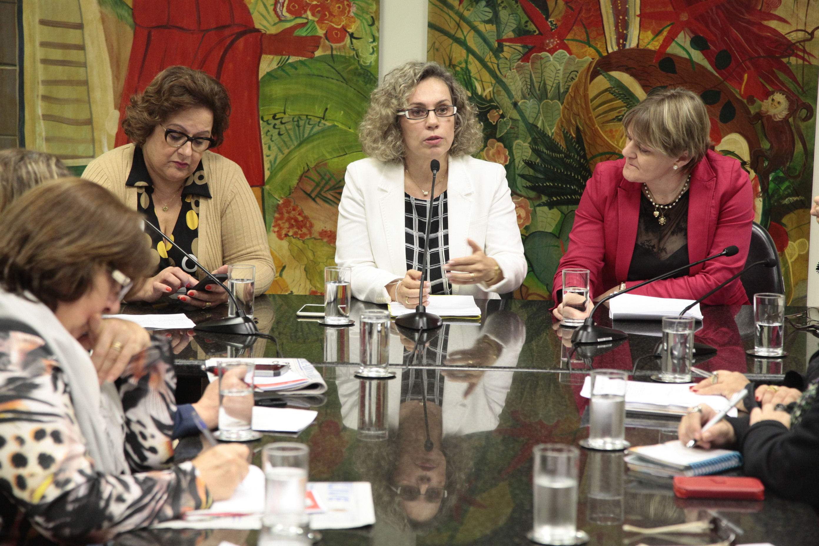 Reunião da Bancada Feminina. Foto: Miriam Zomer/Agência AL