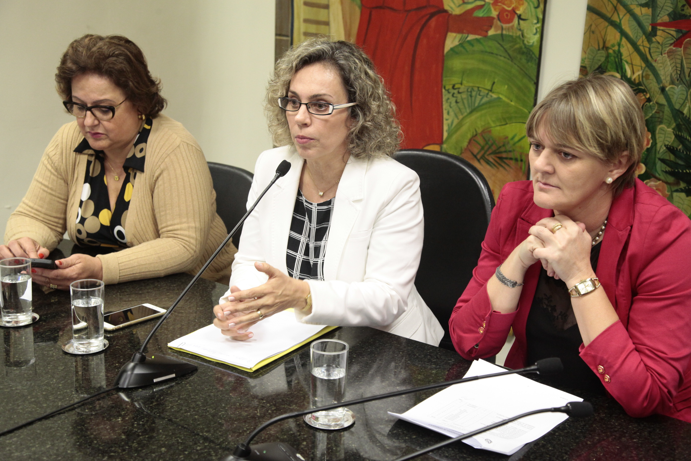 Reunião da Bancada Feminina. Foto: Miriam Zomer/Agência AL