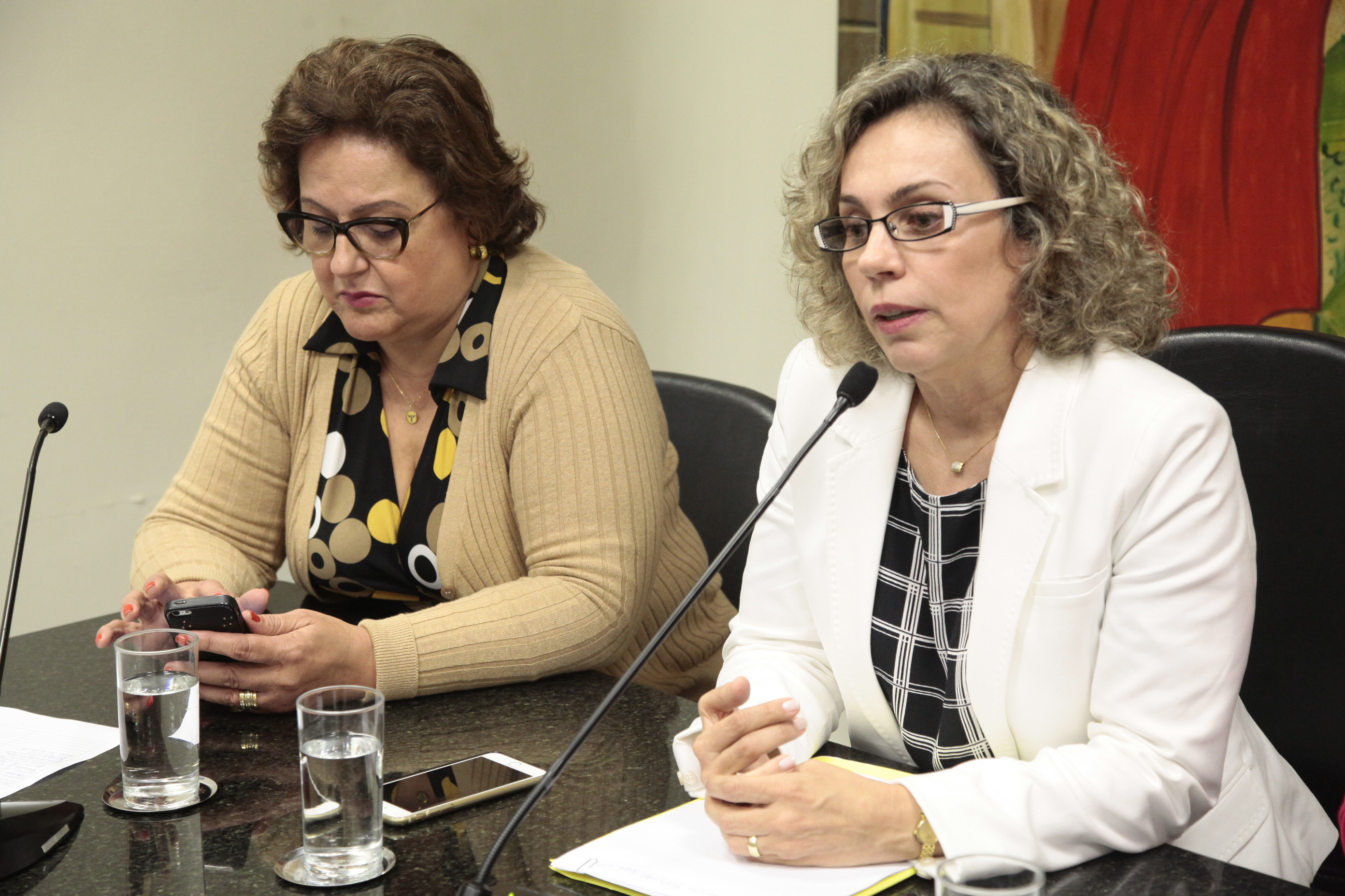 Reunião da Bancada Feminina. Foto: Miriam Zomer/Agência AL