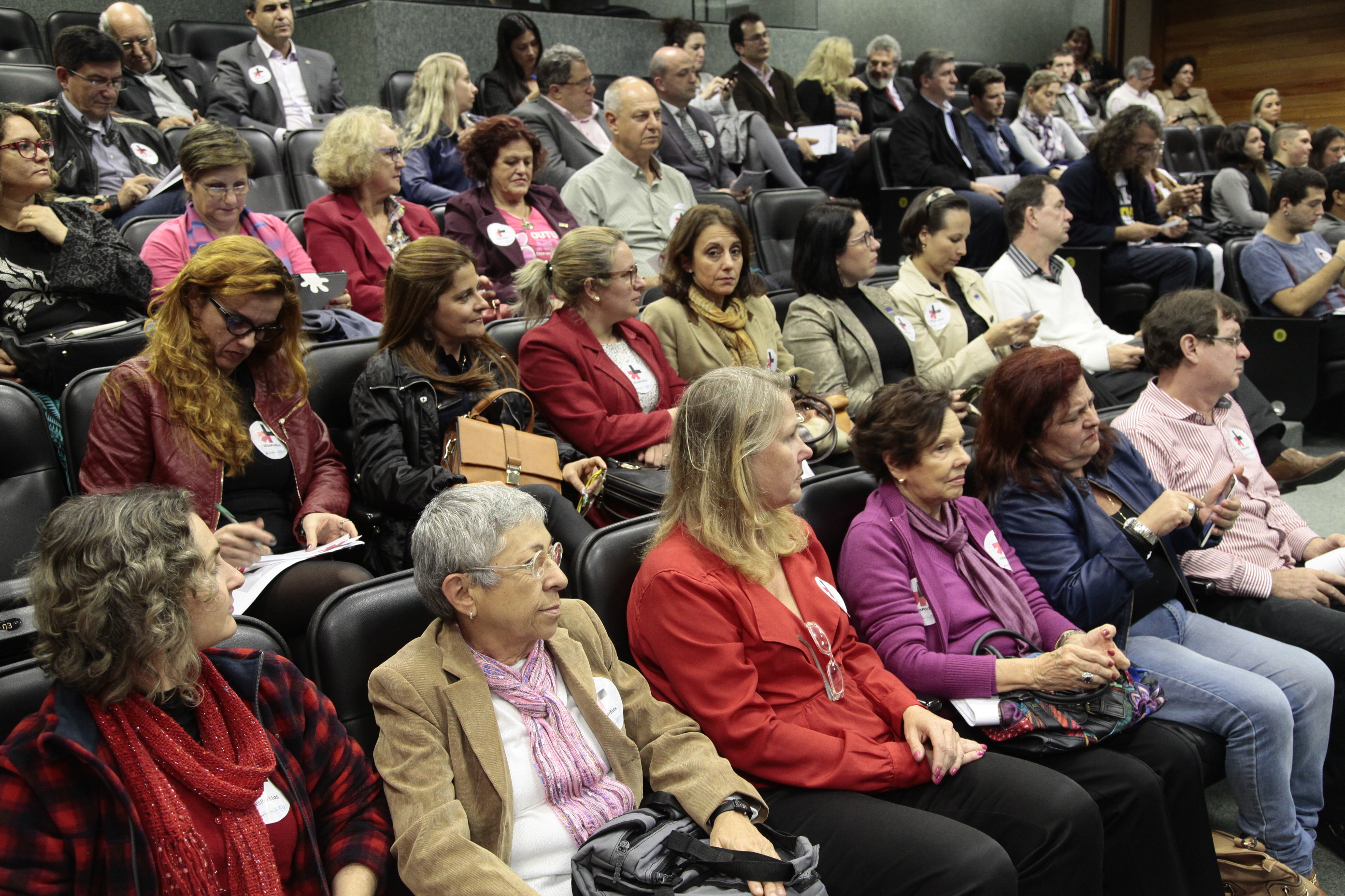 Instalação da Frente Parlamentar dos Homens pelo Fim da Violência Contra as Mulheres e o Lançamento da Campanha Eles por Elas, da ONU. Foto: Miriam Zomer/Agência AL