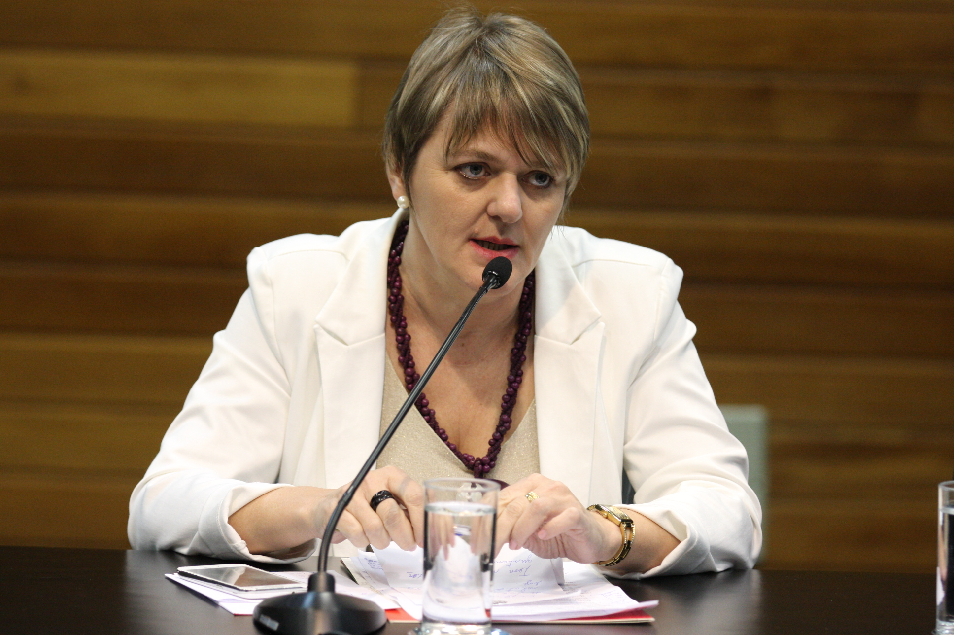 Comissão de Constituição de Justiça. Dep: Luciane Carminatti (PT). Foto: Yuri Santos / Agênica AL
