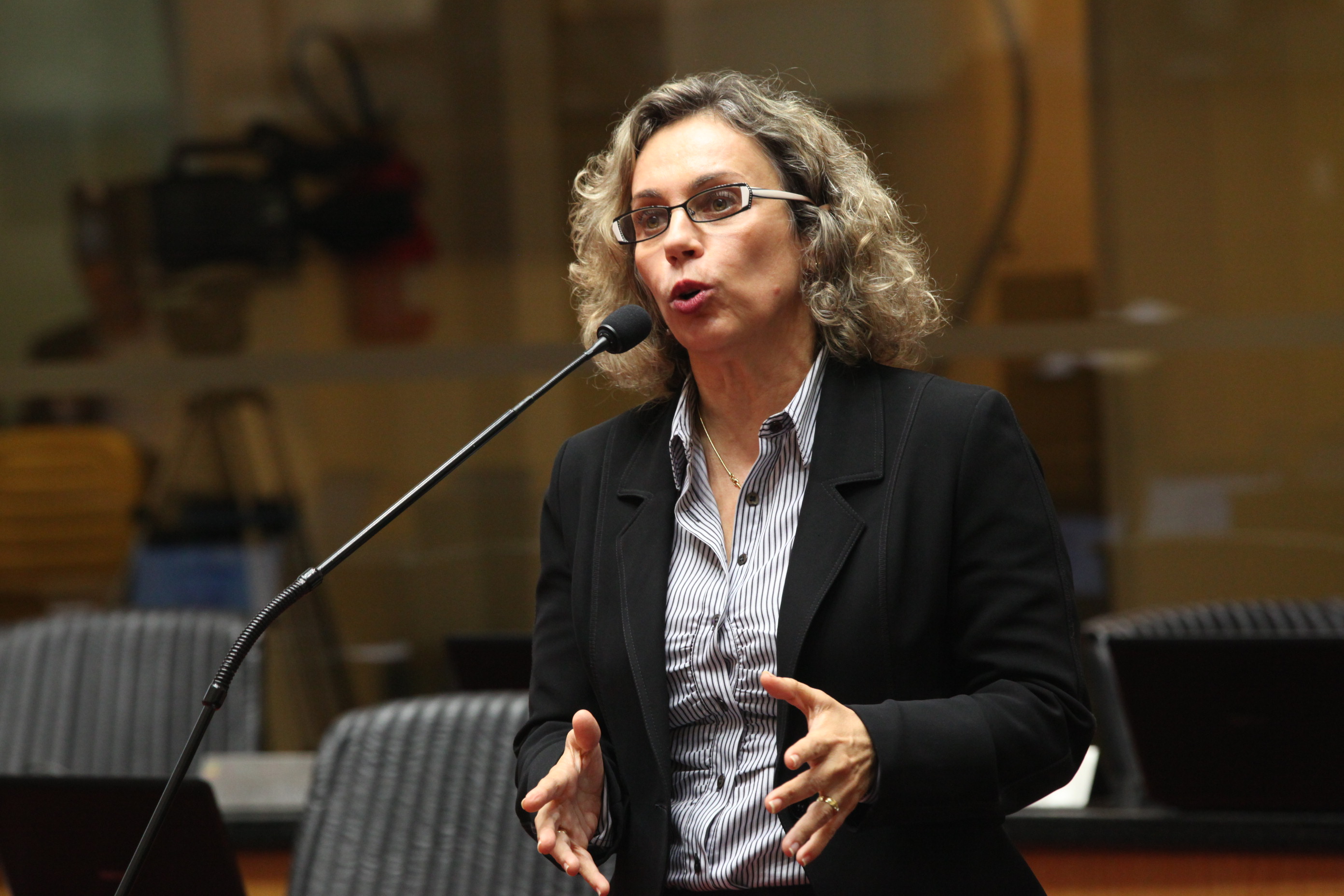 Sessão Ordinária da Assembleia Legislativa do Estado de Santa Catarina. Deputada Ana Paula Lima (PT)  - Foto: Eduardo Guedes de Oliveira/Agência AL