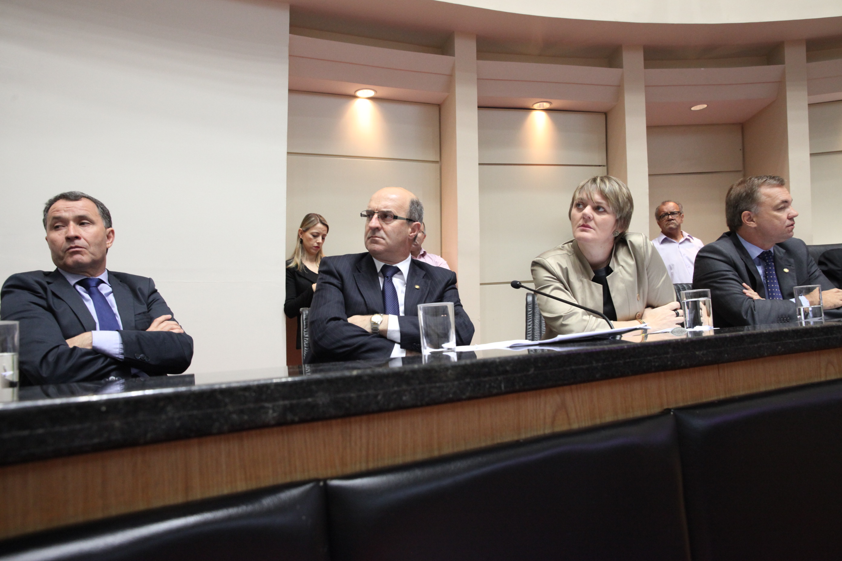 Audiência Pública Comisão de Finanças. Foto: Fábio Queiroz / Agência AL