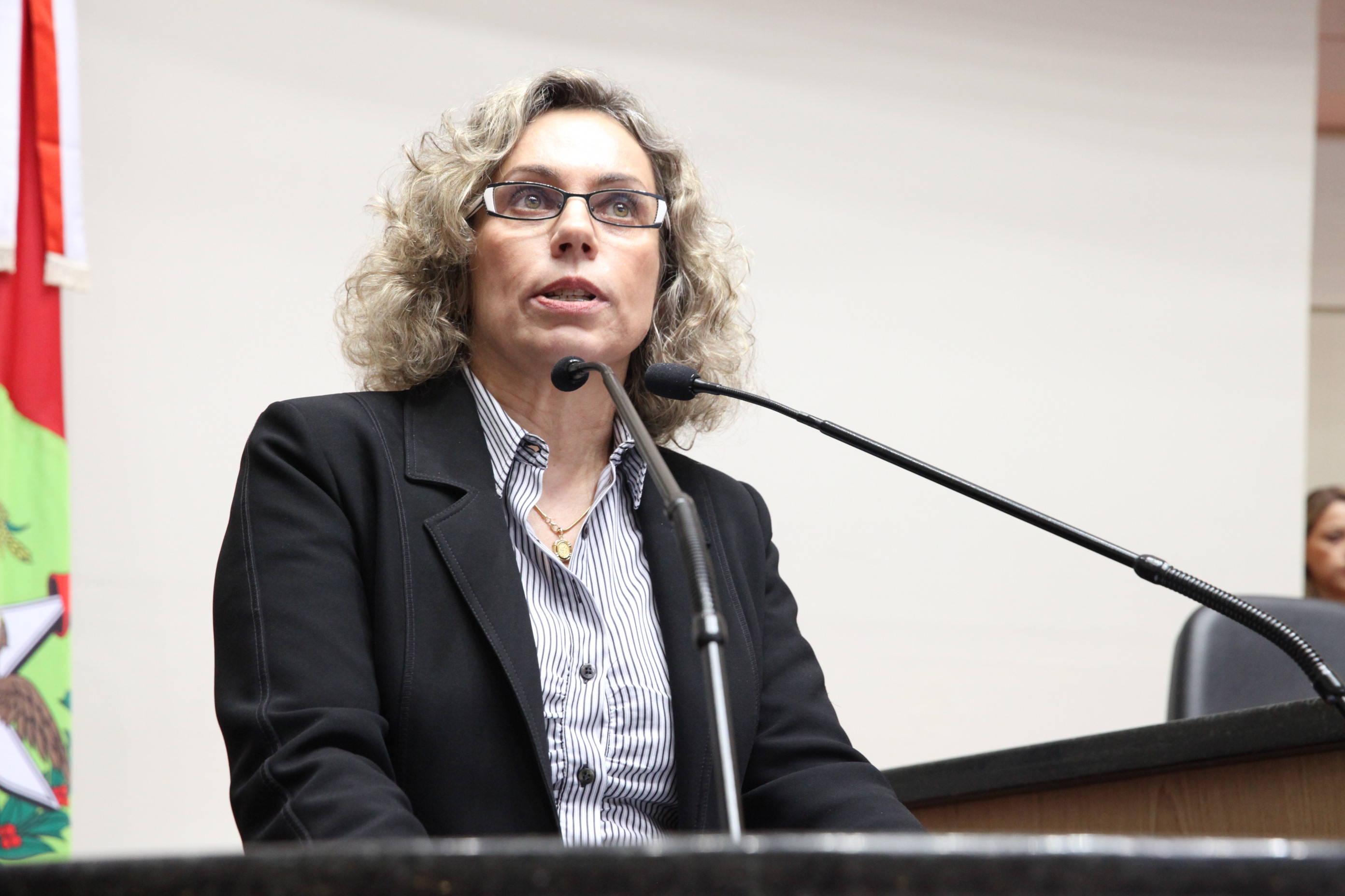 Audiência Pública Comisão de Finanças. Deputada Ana Paula Lima (PT). Foto: Fábio Queiroz / Agência AL