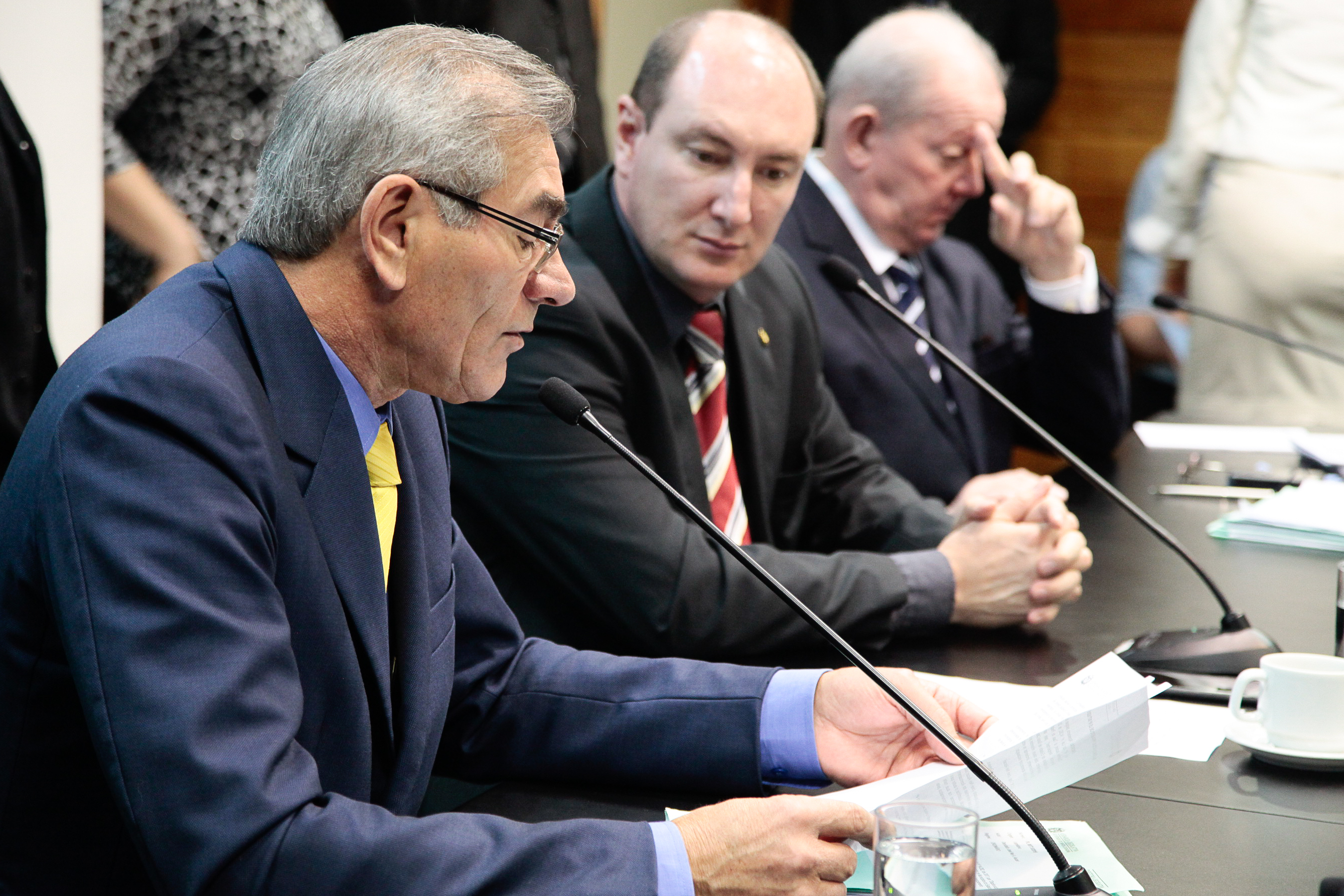 Reunião da Comissão de Constituição e Justiça. Foto: Miriam Zomer/Agência AL