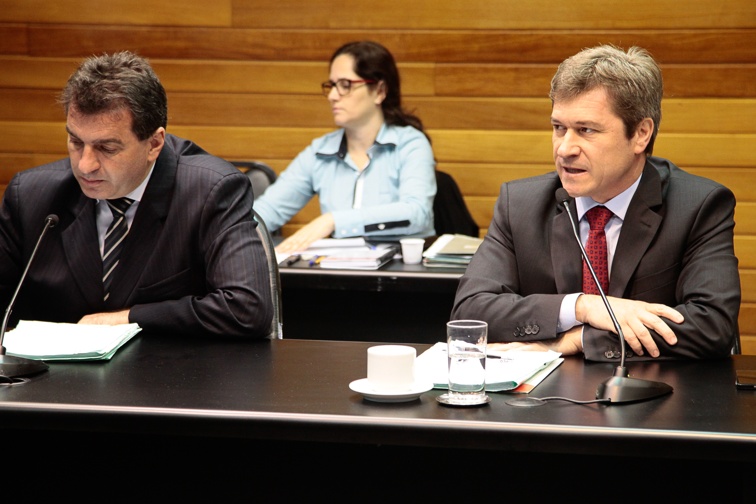 Reunião da Comissão de Constituição e Justiça. Foto: Miriam Zomer/Agência AL