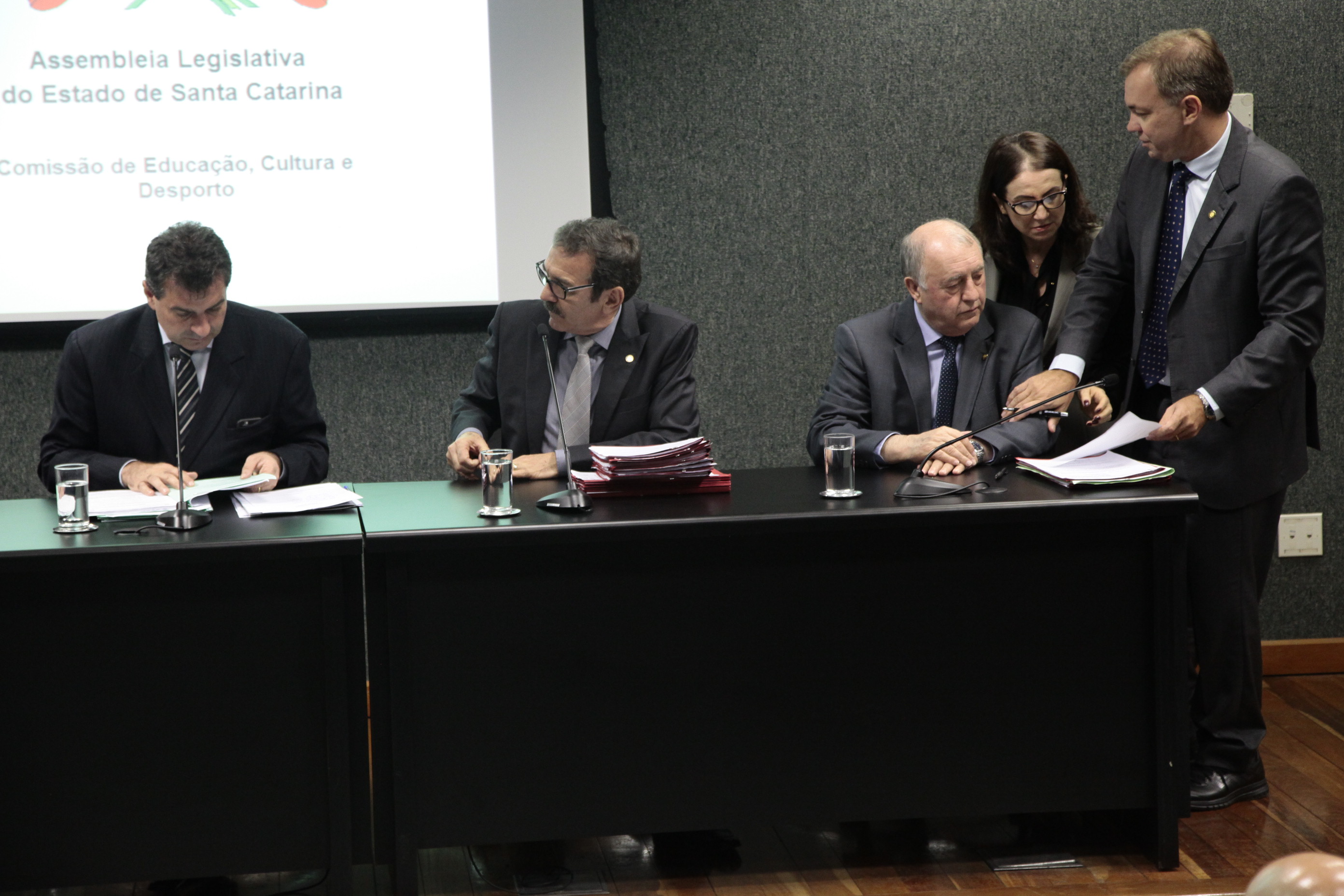Reunião da Comissão de Educação, Cultura e Desporto. Foto: Miriam Zomer/Agência AL