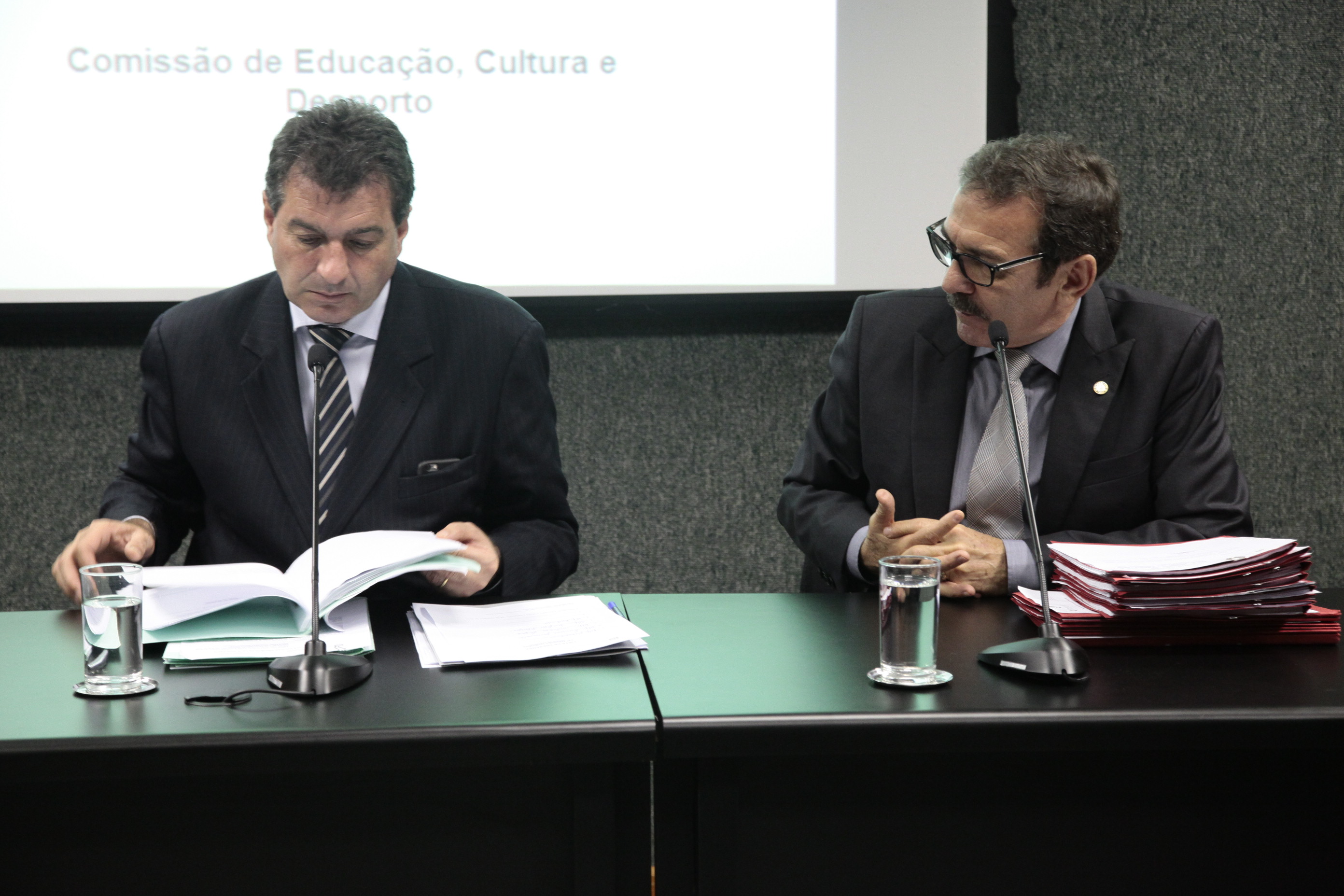 Reunião da Comissão de Educação, Cultura e Desporto. Foto: Miriam Zomer/Agência AL