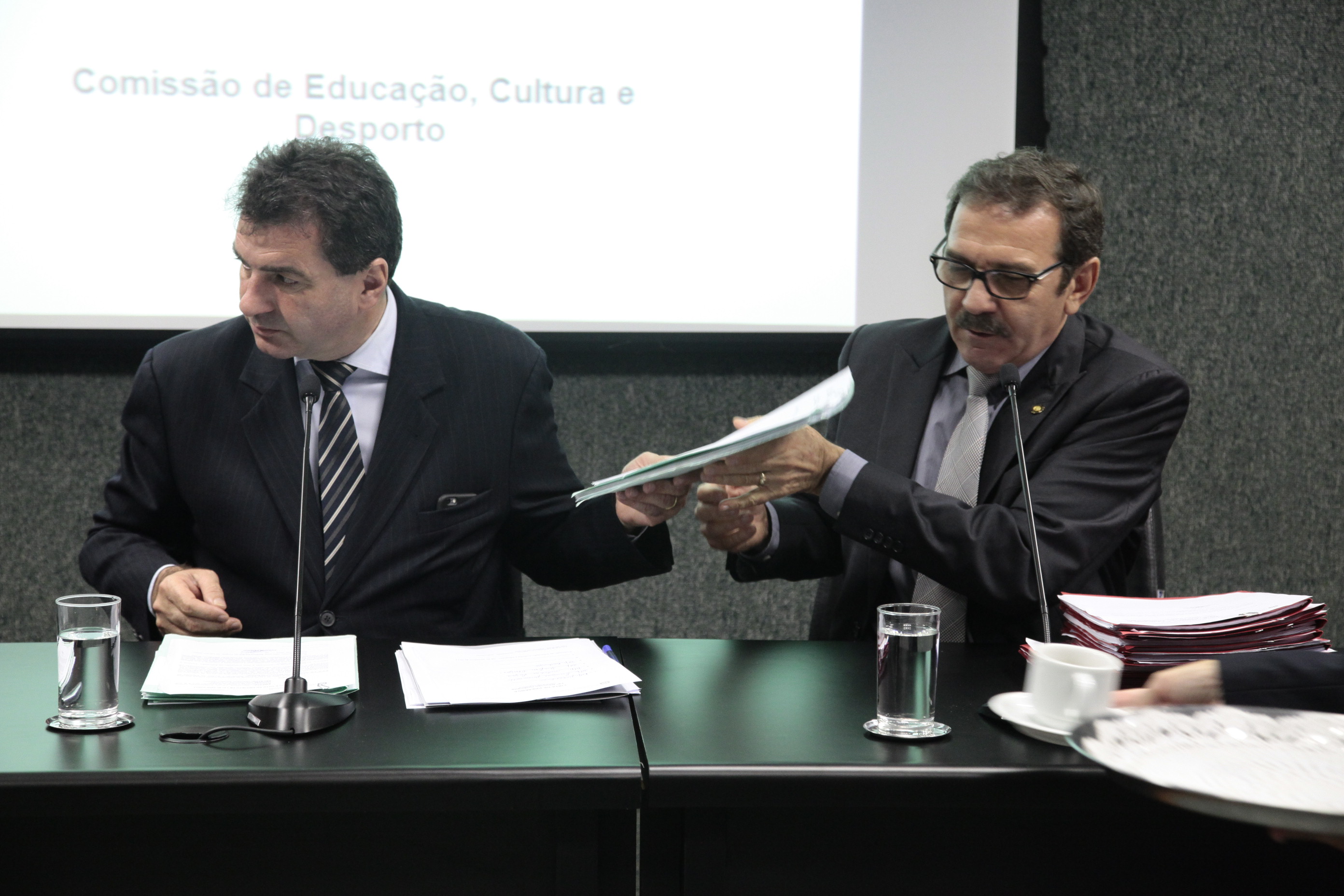 Reunião da Comissão de Educação, Cultura e Desporto. Foto: Miriam Zomer/Agência AL