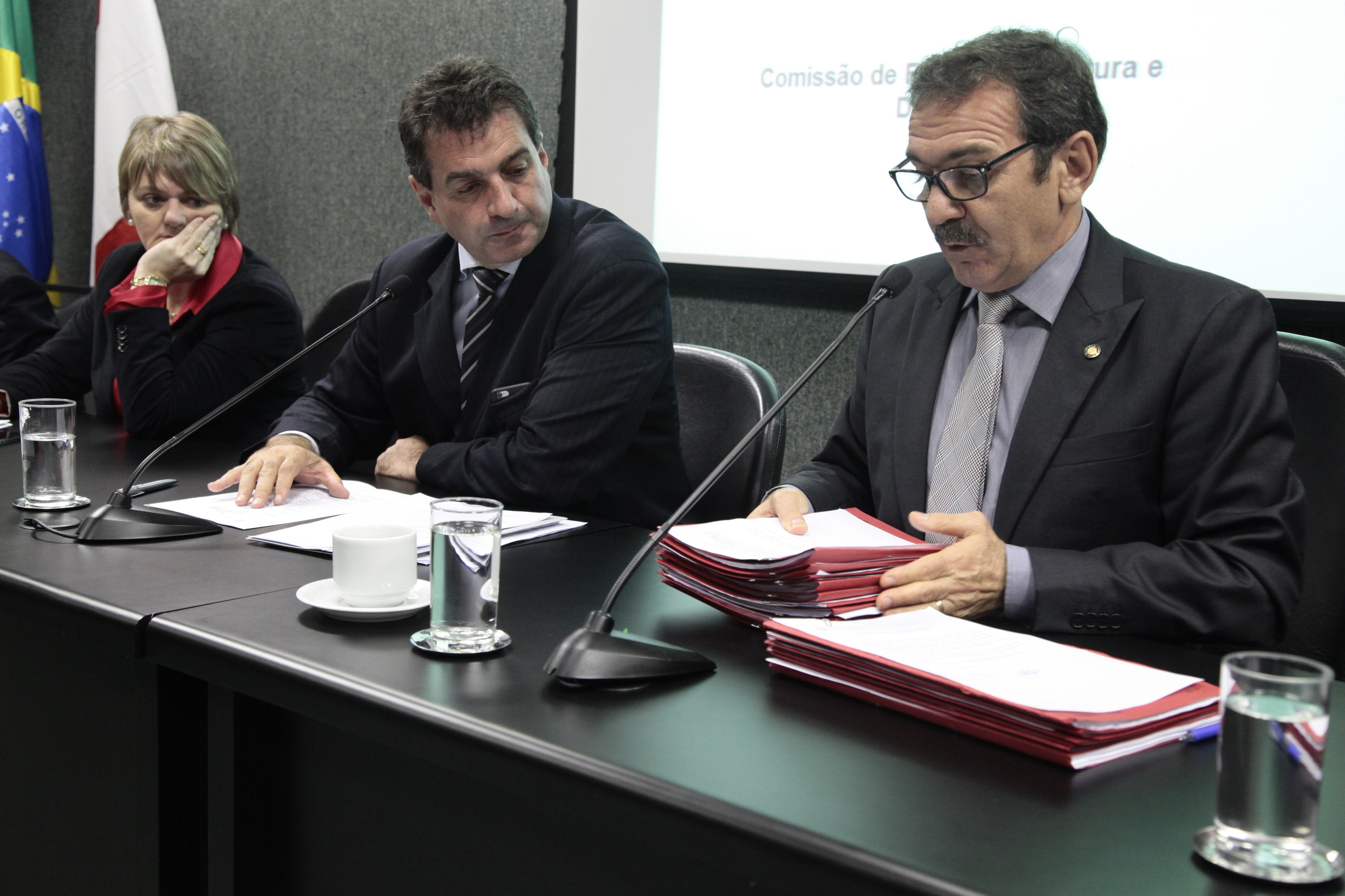 Reunião da Comissão de Educação, Cultura e Desporto. Foto: Miriam Zomer/Agência AL