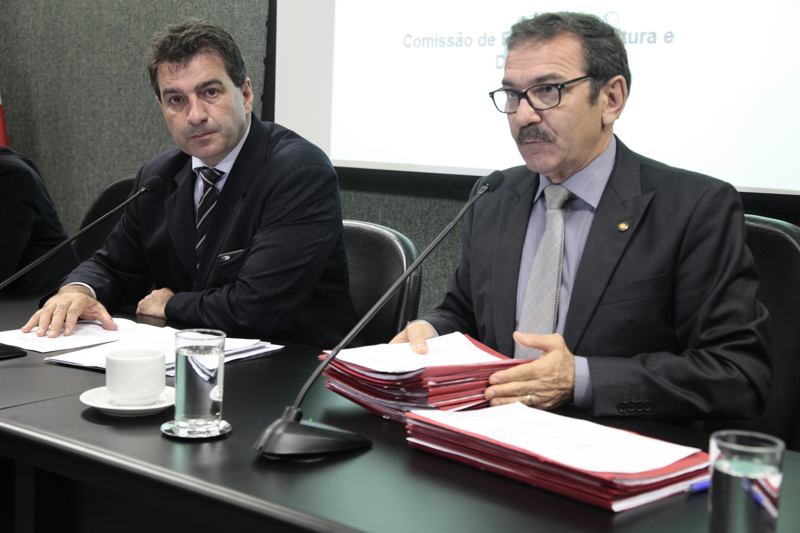 Reunião da Comissão de Educação, Cultura e Desporto. Foto: Miriam Zomer/Agência AL
