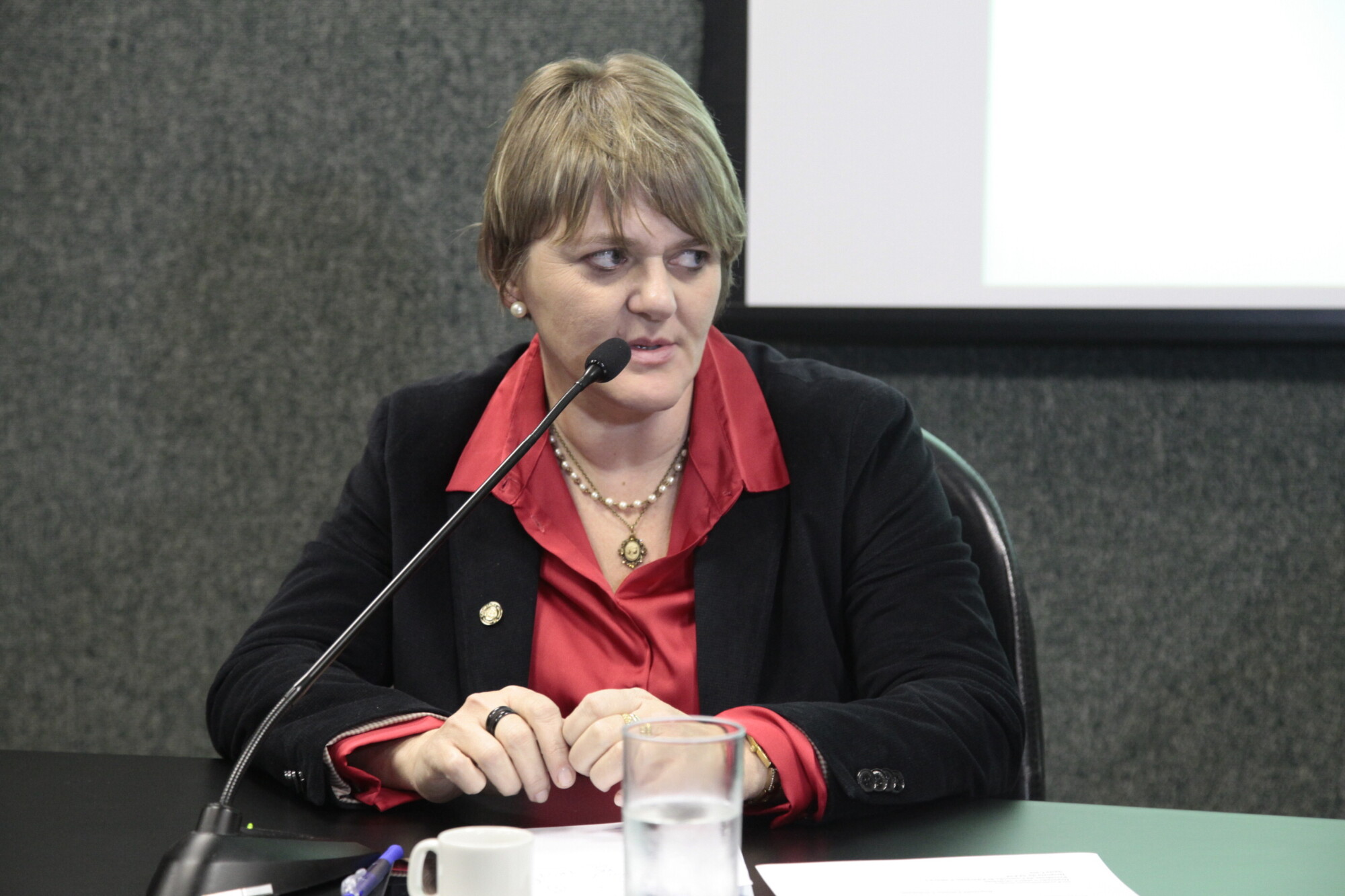 Deputada Luciane Carminatti