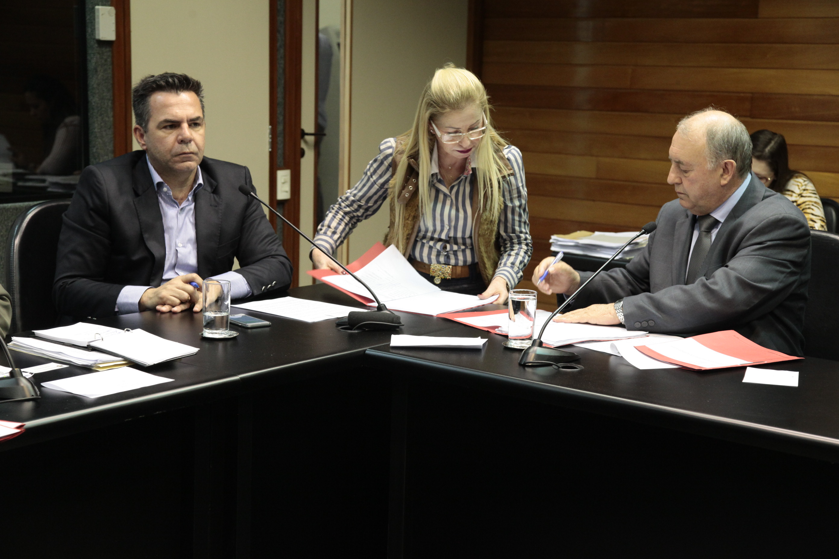 Reunião da Comissão de Direitos Humanos. Foto: Miriam Zomer/Agência AL
