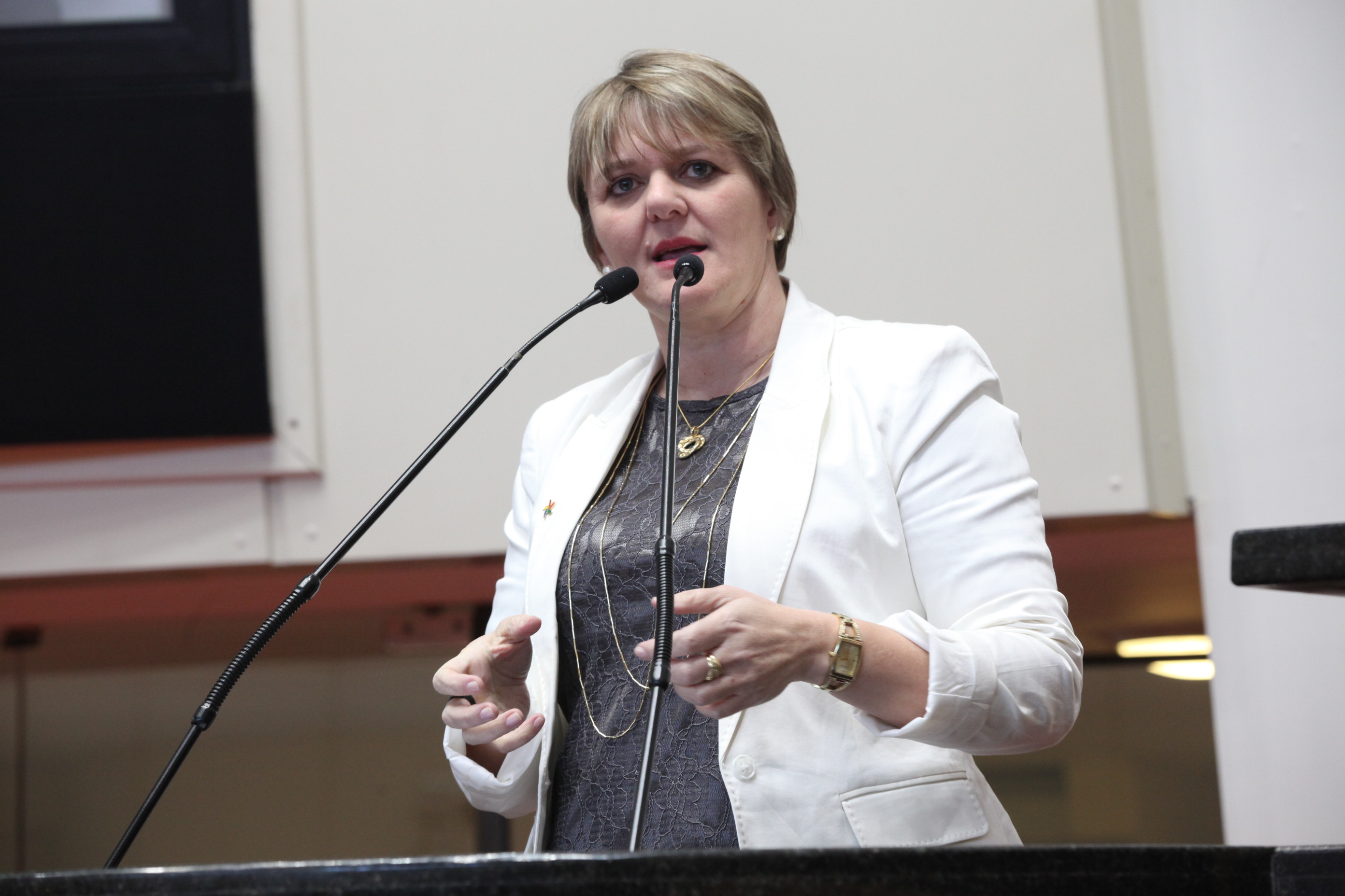 Sessão Ordinária da Assembleia Legislativa do Estado de Santa Catarina. Deputada Luciane Carminatti (PT) - Foto: Eduardo Guedes de Oliveira/Agência AL
