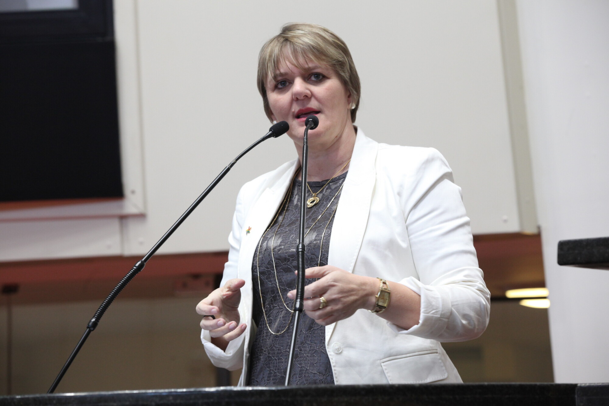 Deputada Luciane Carminatti