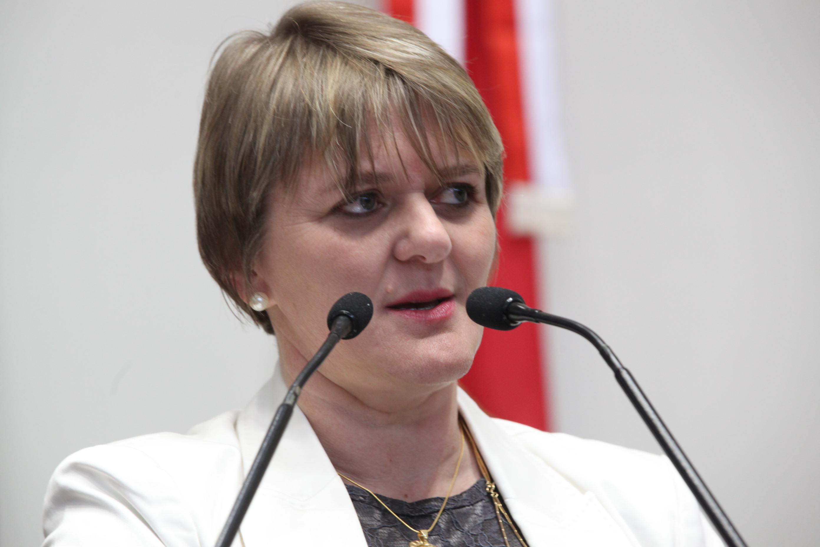Sessão Ordinária da Assembleia Legislativa do Estado de Santa Catarina. Deputada Luciane Carminatti (PT) - Foto: Eduardo Guedes de Oliveira/Agência AL