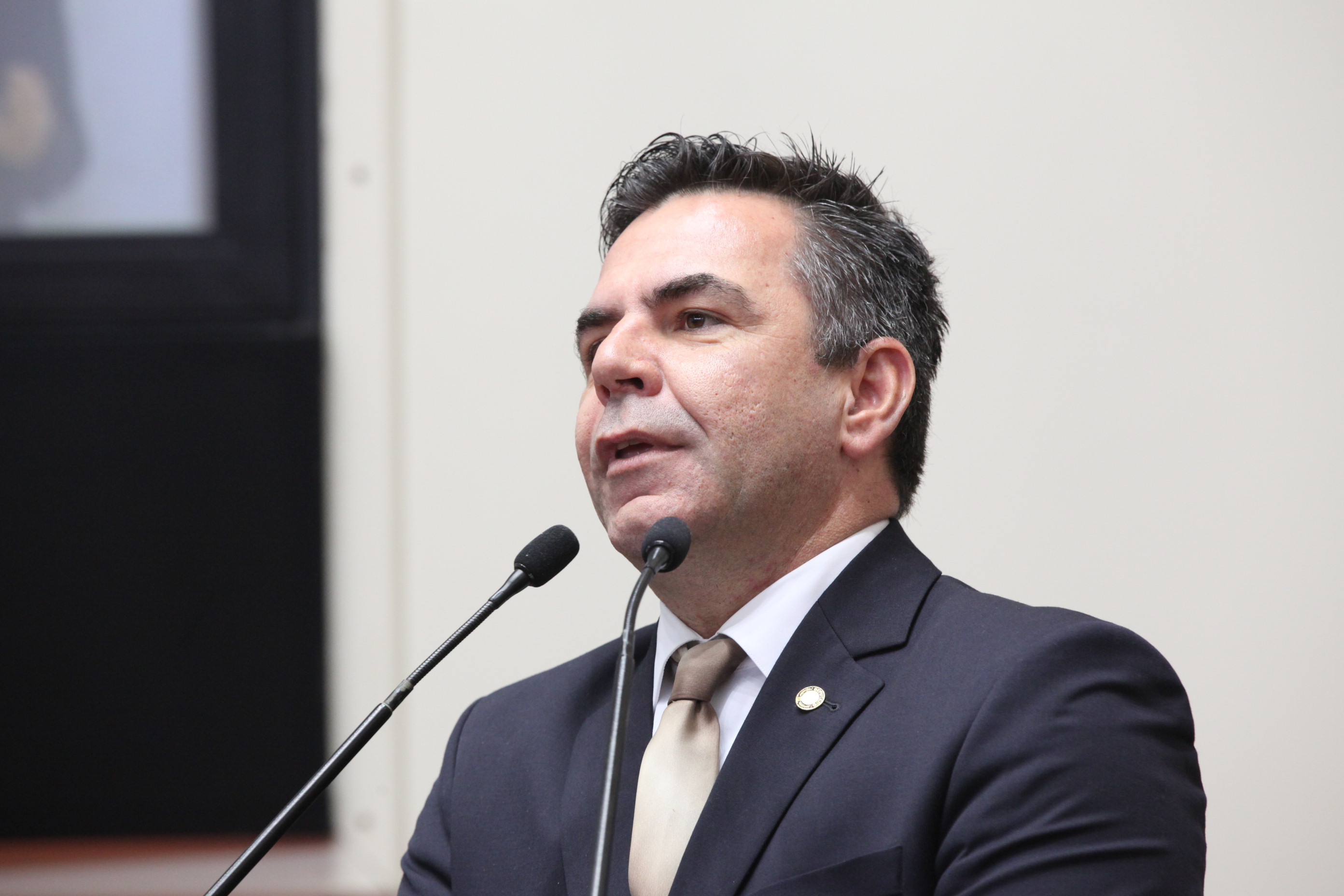 Sessão Ordinária - Plenário Osni Régis. Deputado Luiz Fernando Vampiro (PMDB) - Foto: Eduardo Guedes de Oliveira / Agência AL