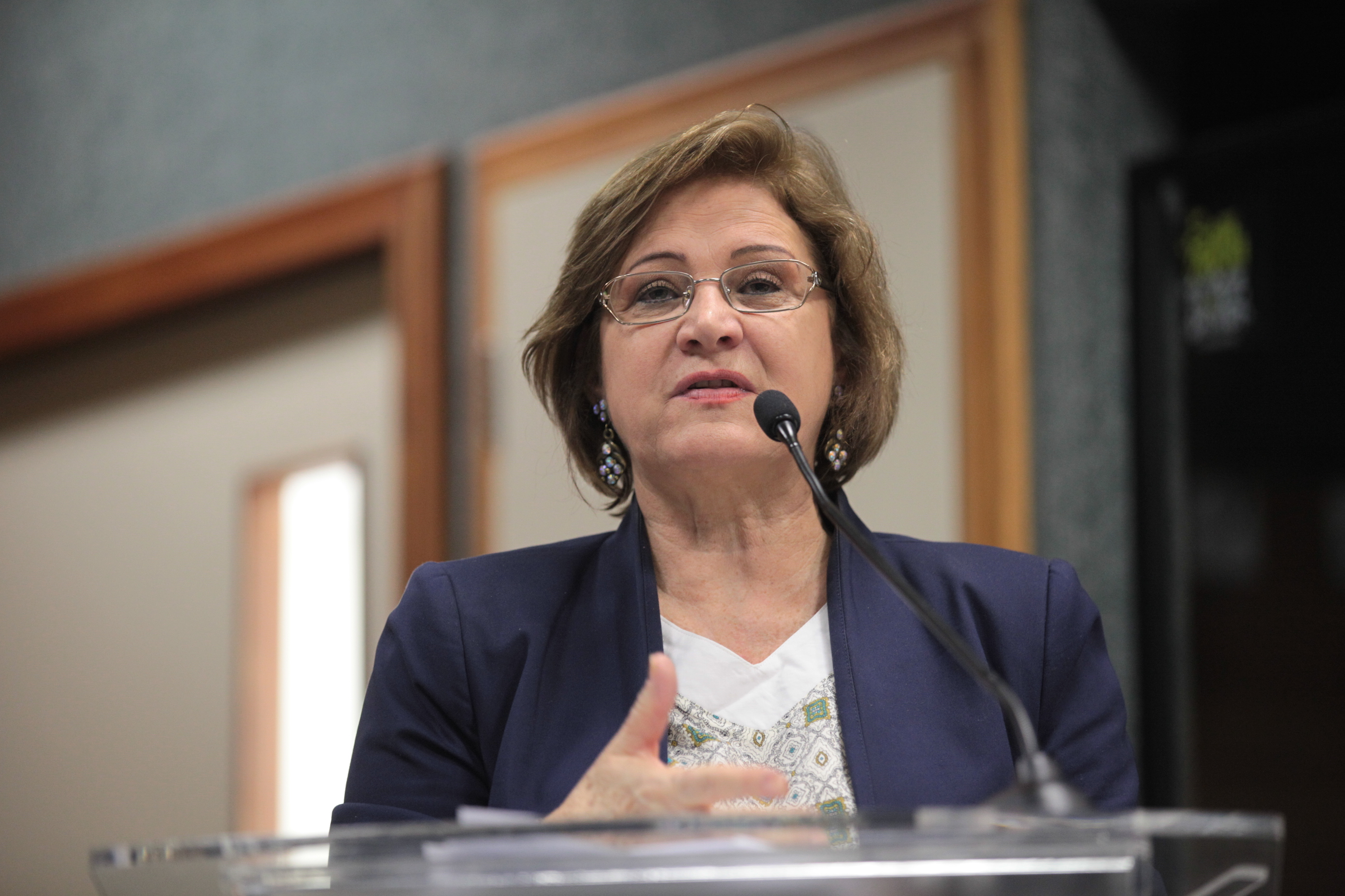 Comissão de Educação - Plano Estadual de Educação - Alverte Pasim Bedim (SINTE)