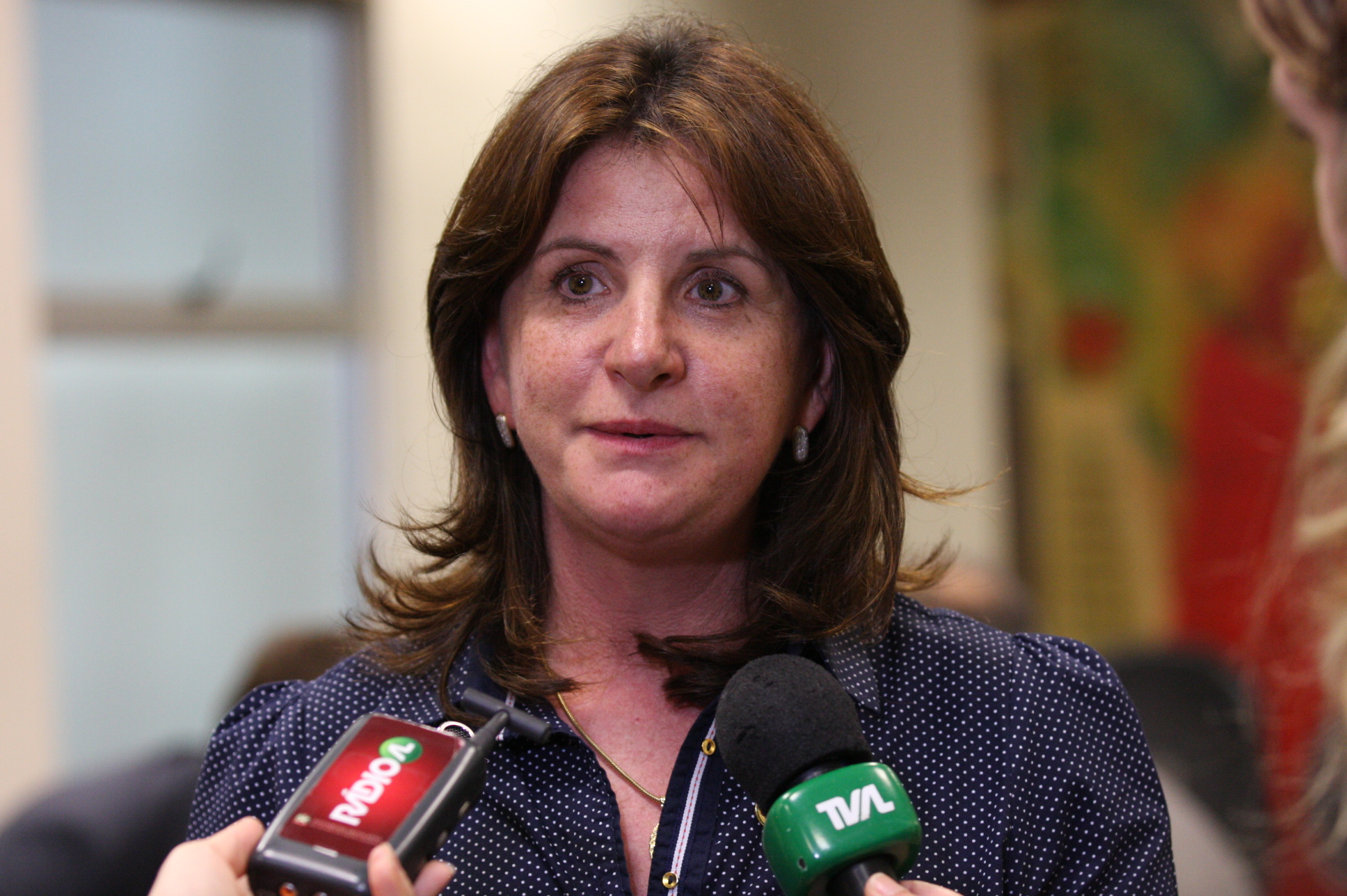 PEC 430/2009 - PEC dos Bombeiros. Deputada Federal: Carmen Zanotto (PPS-SC). Foto: Yuri Santos / Agência AL