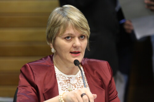 Luciane Carminatti propõe transformar SDRs em governanças