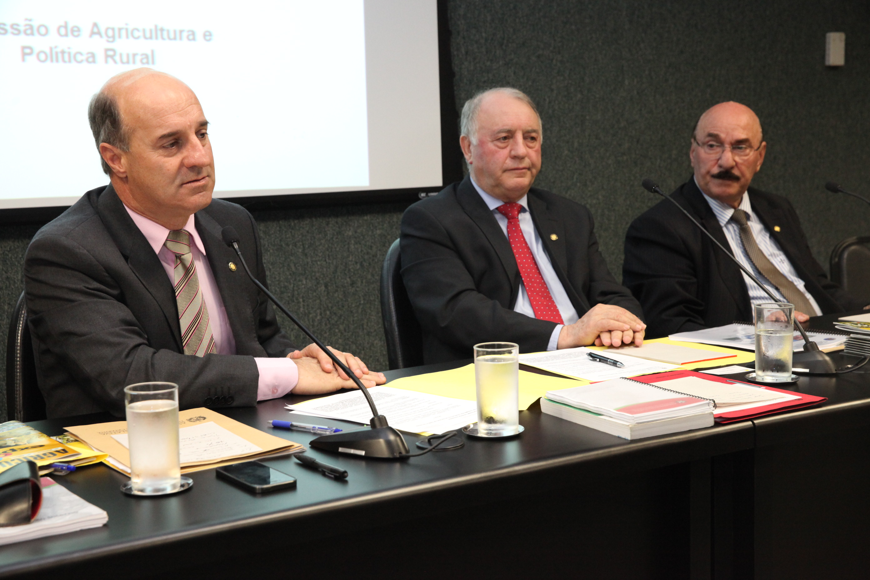 Reunião da Comissão de Agricultura e Produção Rural. Foto: Fábio Queiroz / Agência AL