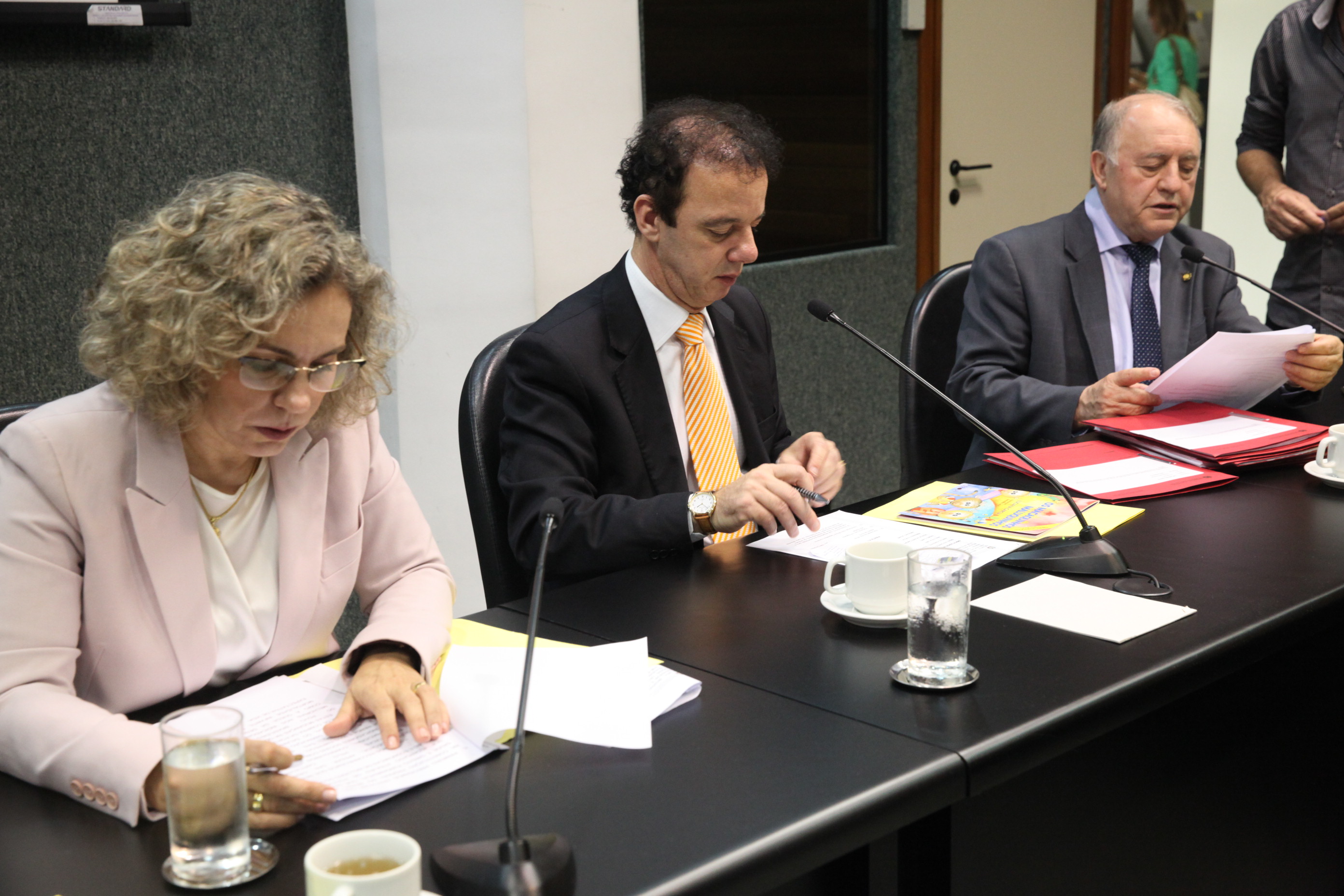 Reunião da Comissão de Combate às Drogas. Foto: Eduardo Guedes de Oliveira / Agência AL