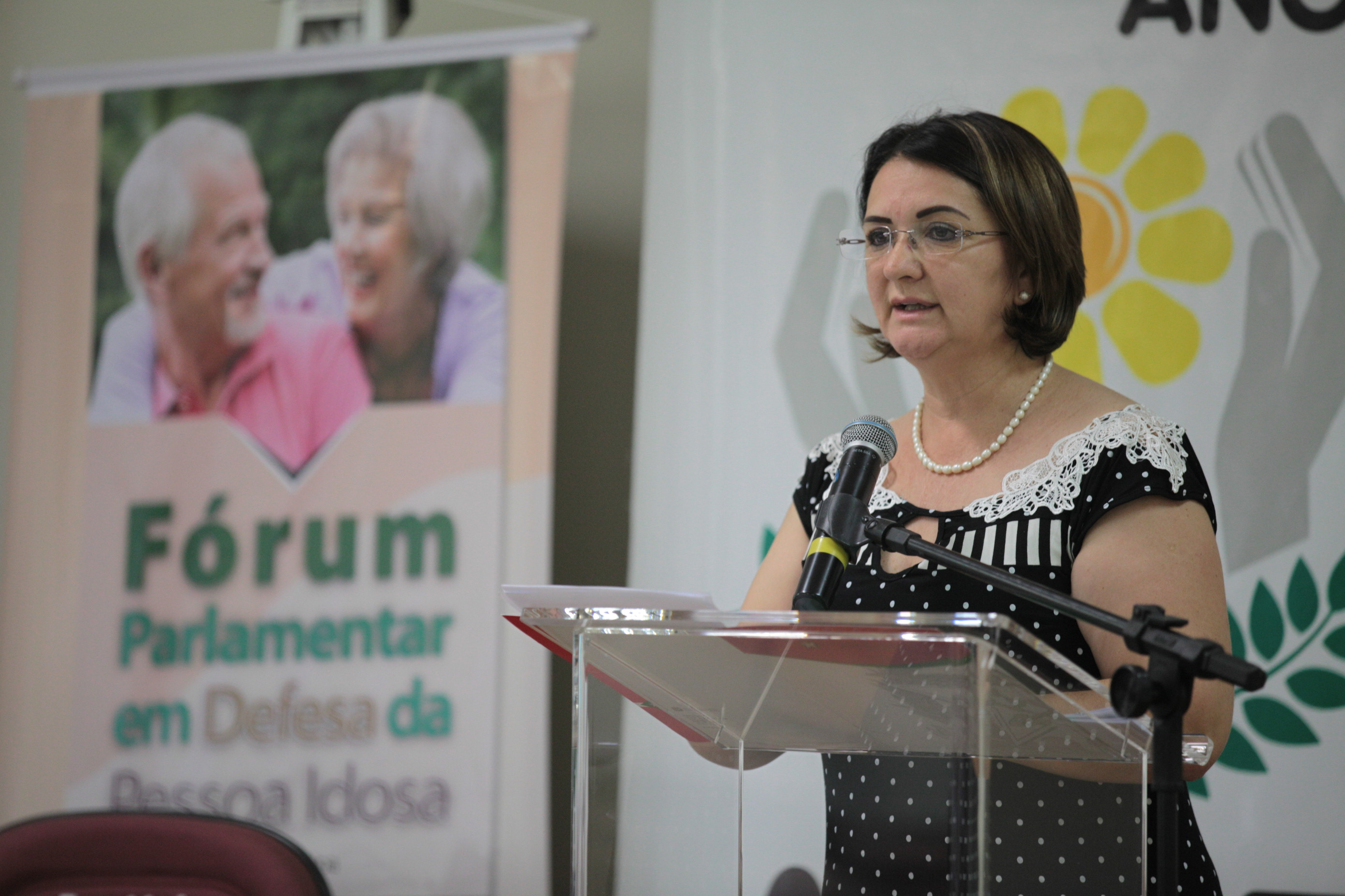 Fórum Parlamentar em Defesa da Pessoa Idosa - Janice Krasniak