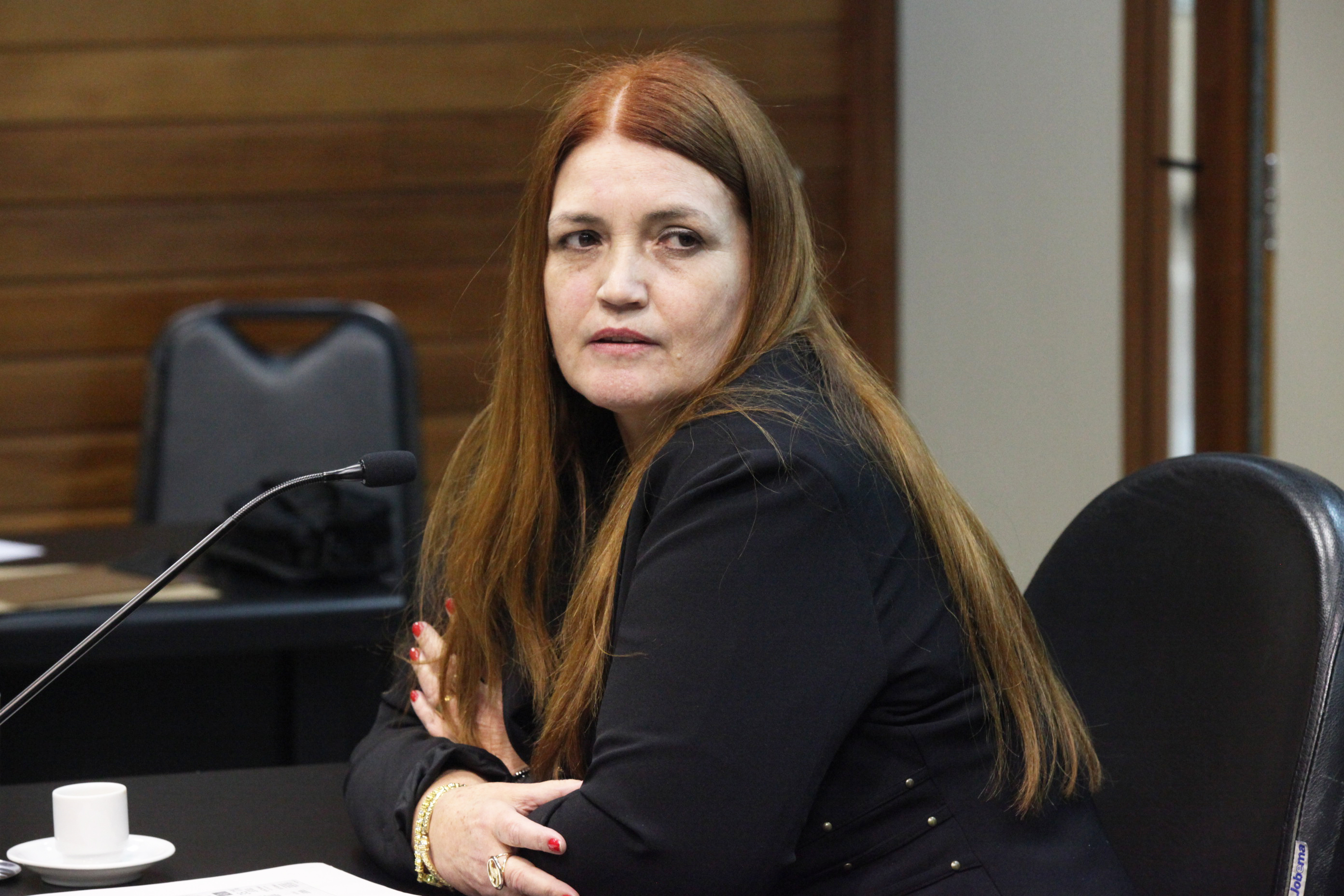 Comissão de Economia promove audiência pública para tratar do Estatuto Estadual da Microempresa e da Empresa de Pequeno Porte. Foto: Fábio Queiroz / Agência AL