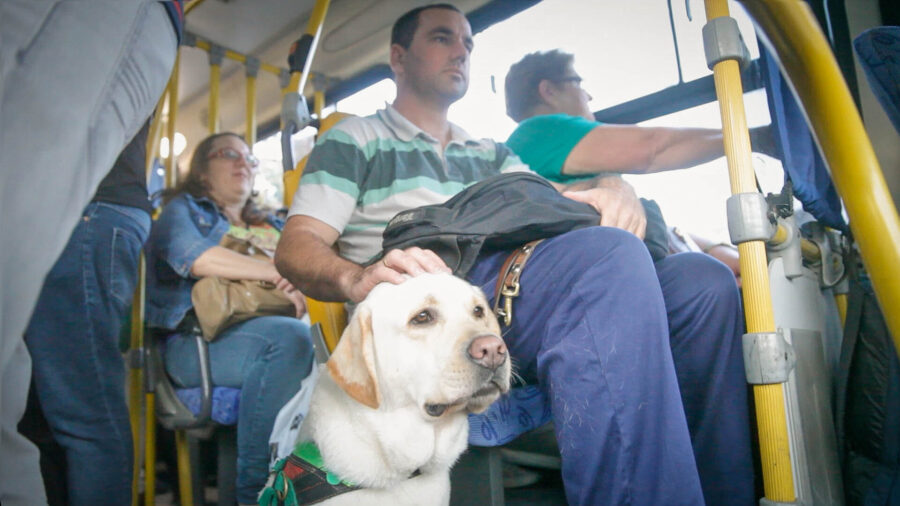 A formação da dupla é um processo em construção e depende do tempo compartilhado e das atividades realizadas em parceria. FOTOS: Lucas Diniz/Agência AL