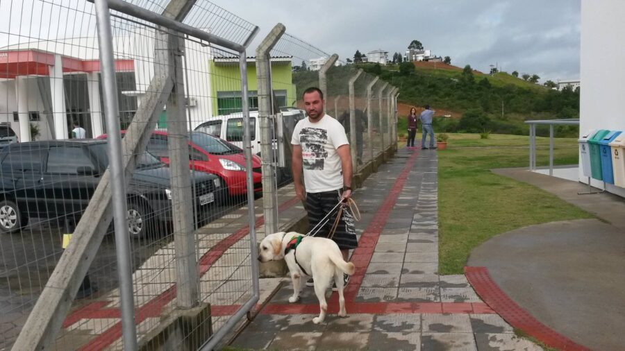 Antes da formação da dupla o cão passa pelas etapas de socialização e de treinamento. FOTO: Divulgação/IFC