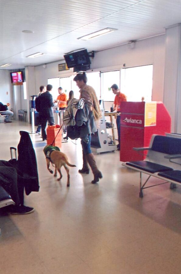 Aninal foi levado a vários locais e testado em diferentes situações. Foto: Acervo Pessoal